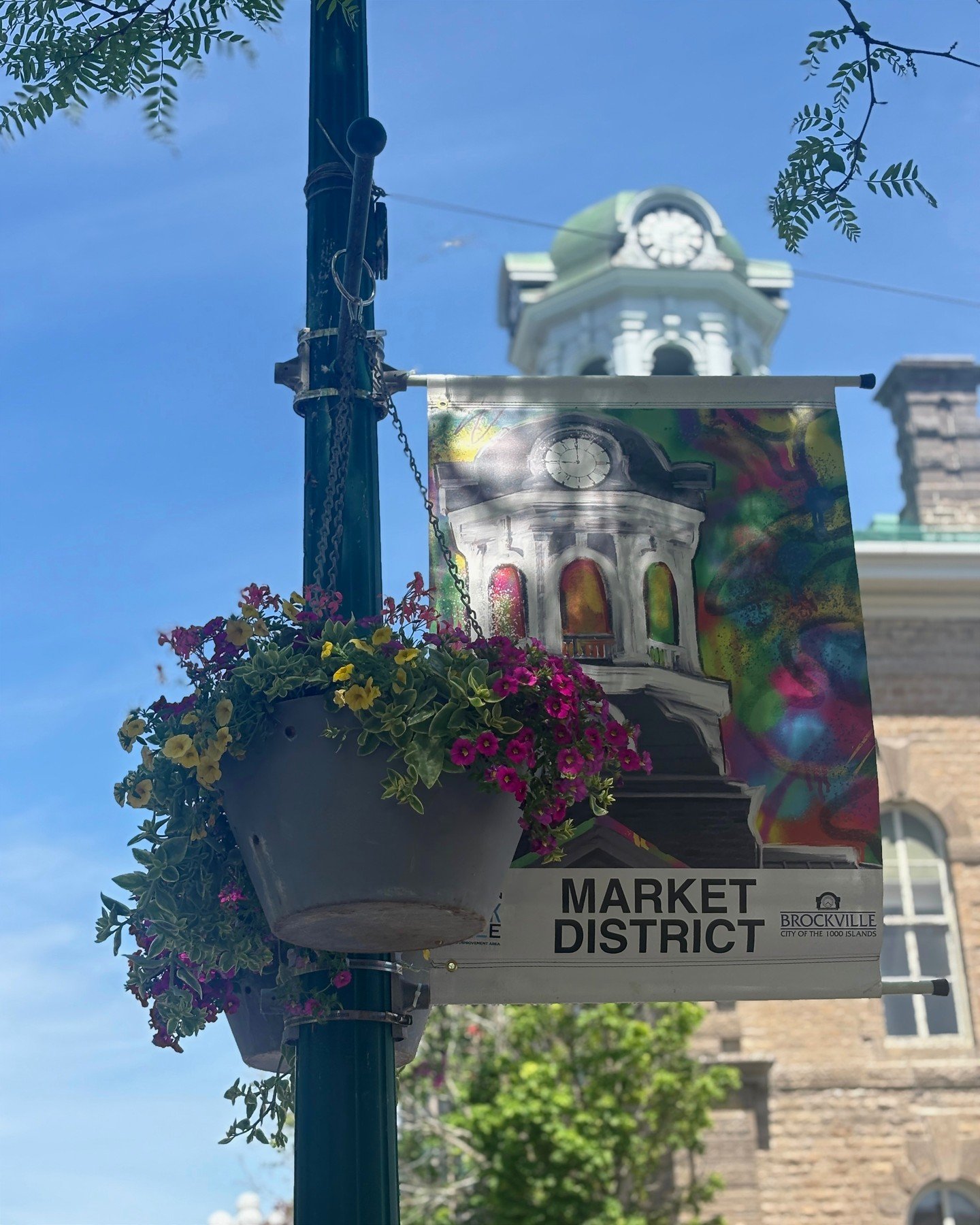 Downtown Brockville is in full bloom! 🌸

Our downtown banners are flying, hanging baskets are bursting with colour, and planters are brightening streets and public spaces throughout the downtown. We're also excited to see the beautiful Planters with