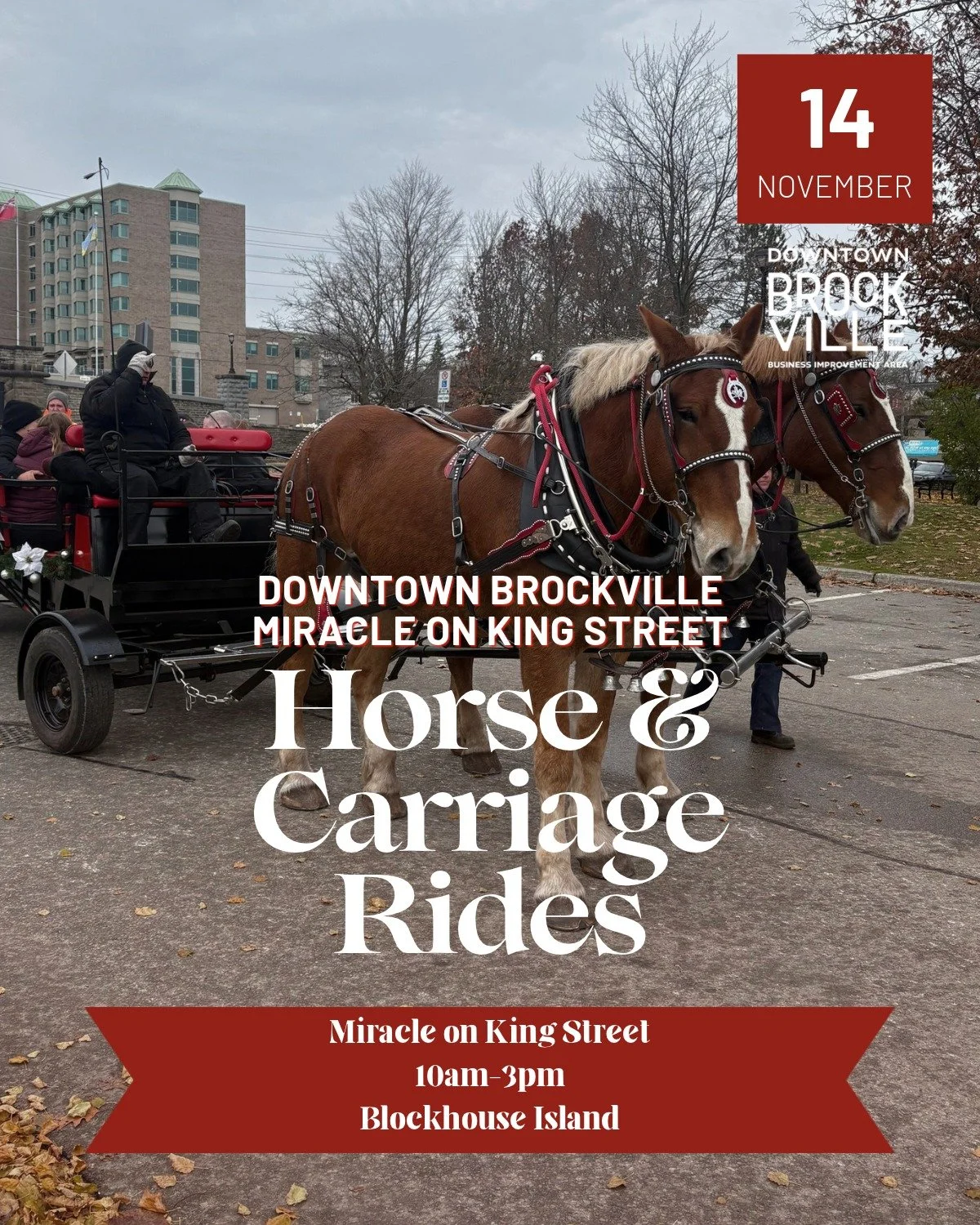 Take a horse and carriage ride at Miracle on King Street! 🐴

Enjoy a free horse and carriage ride around Blockhouse Island as part of this year's Christmas festivities!

Horse &amp; Carriage Rides:
- Date: Saturday, November 14th
- Time: 10am-3pm
- 