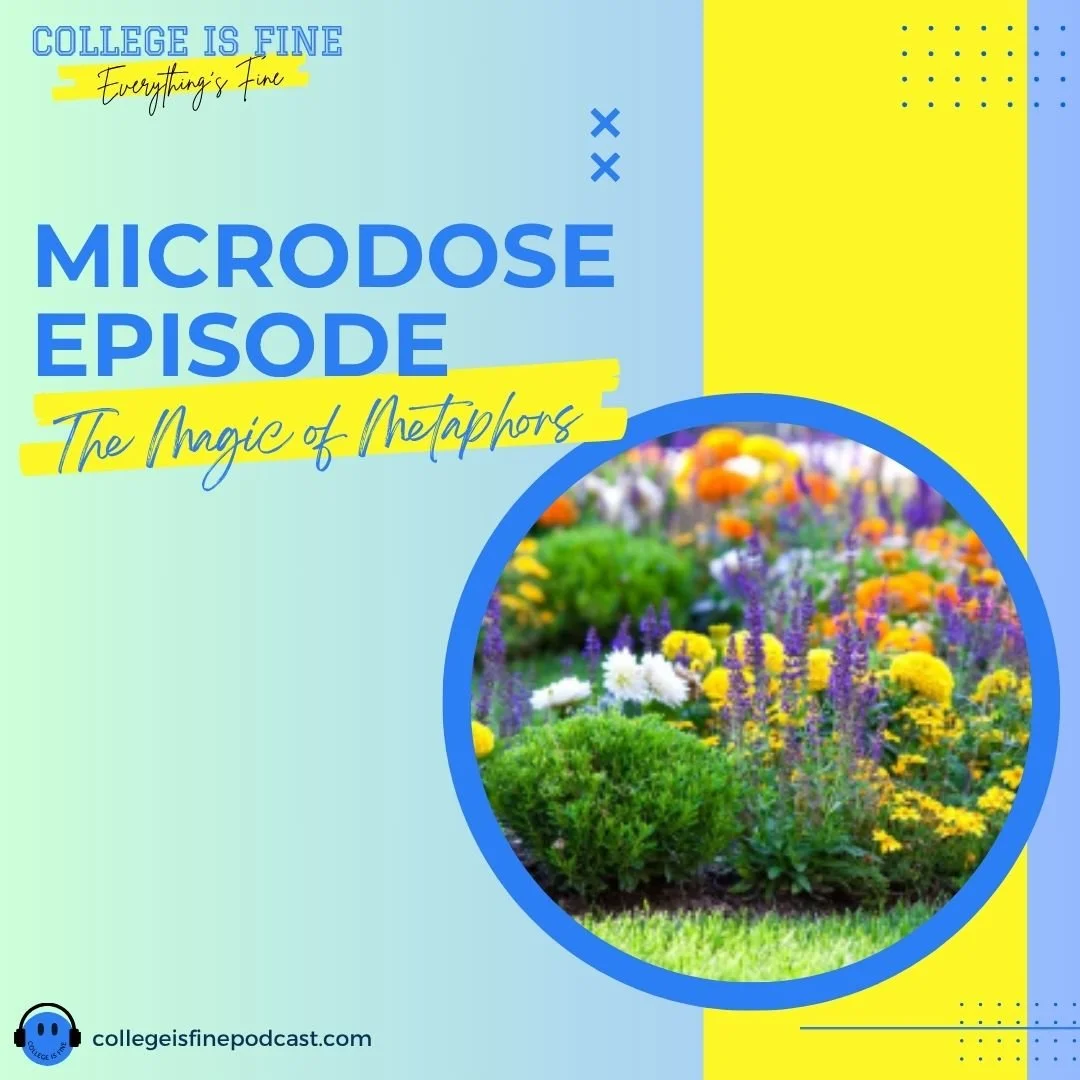 #53 Microdose Episode: The Magic of Metaphors