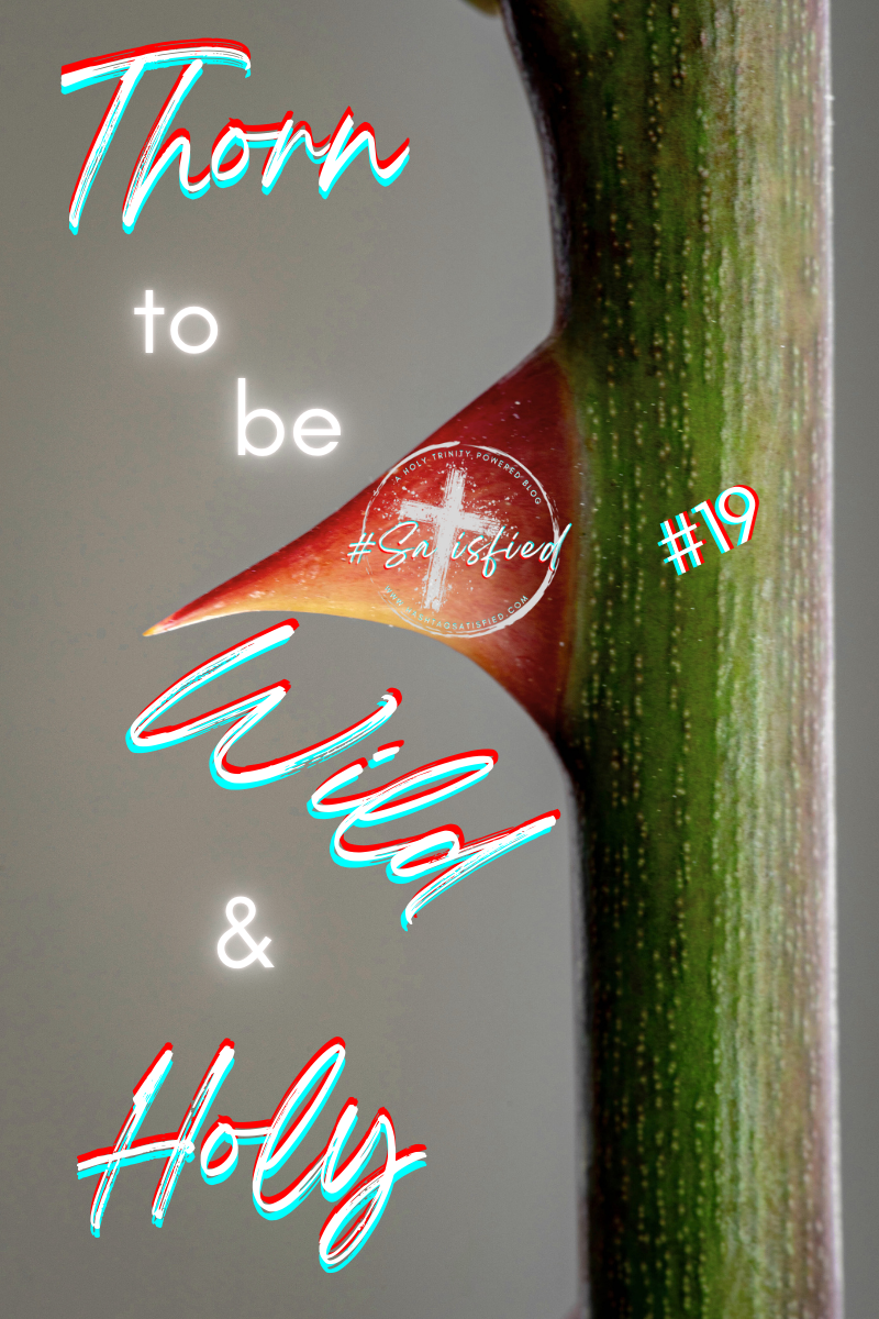 #19 - Thorn to be Wild &amp; Holy