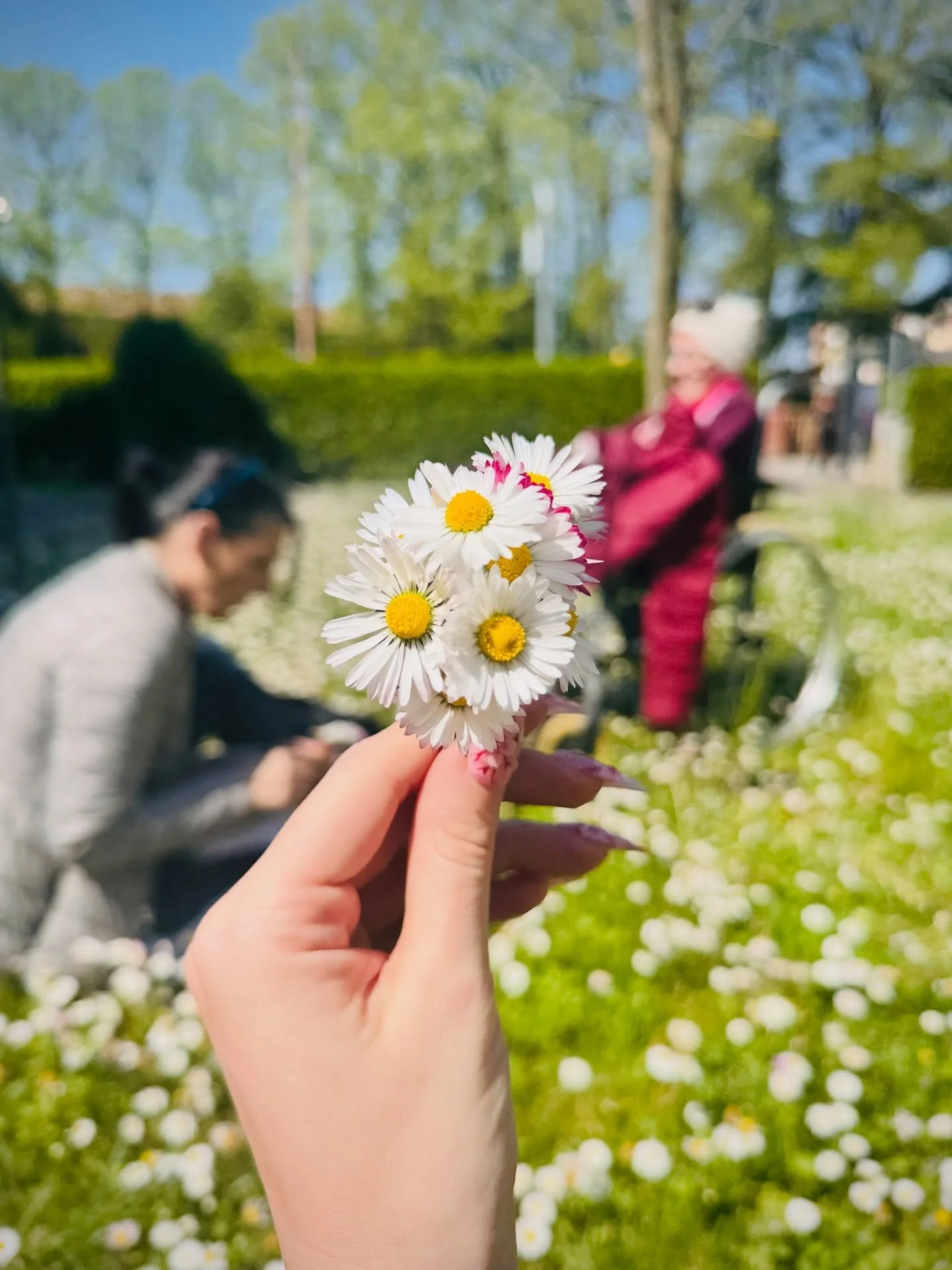 Life lately &hearts;️☺️ and a lot of my cat because she&rsquo;s too cute to keep her in my gallery ✨

1 - Time spent with mom and grandma picking flowers 💐 

2 - Me and my Labubu Girlfriends 👯&zwj;♀️ 

3 - Me during meetings 🐾 with a foot in the w