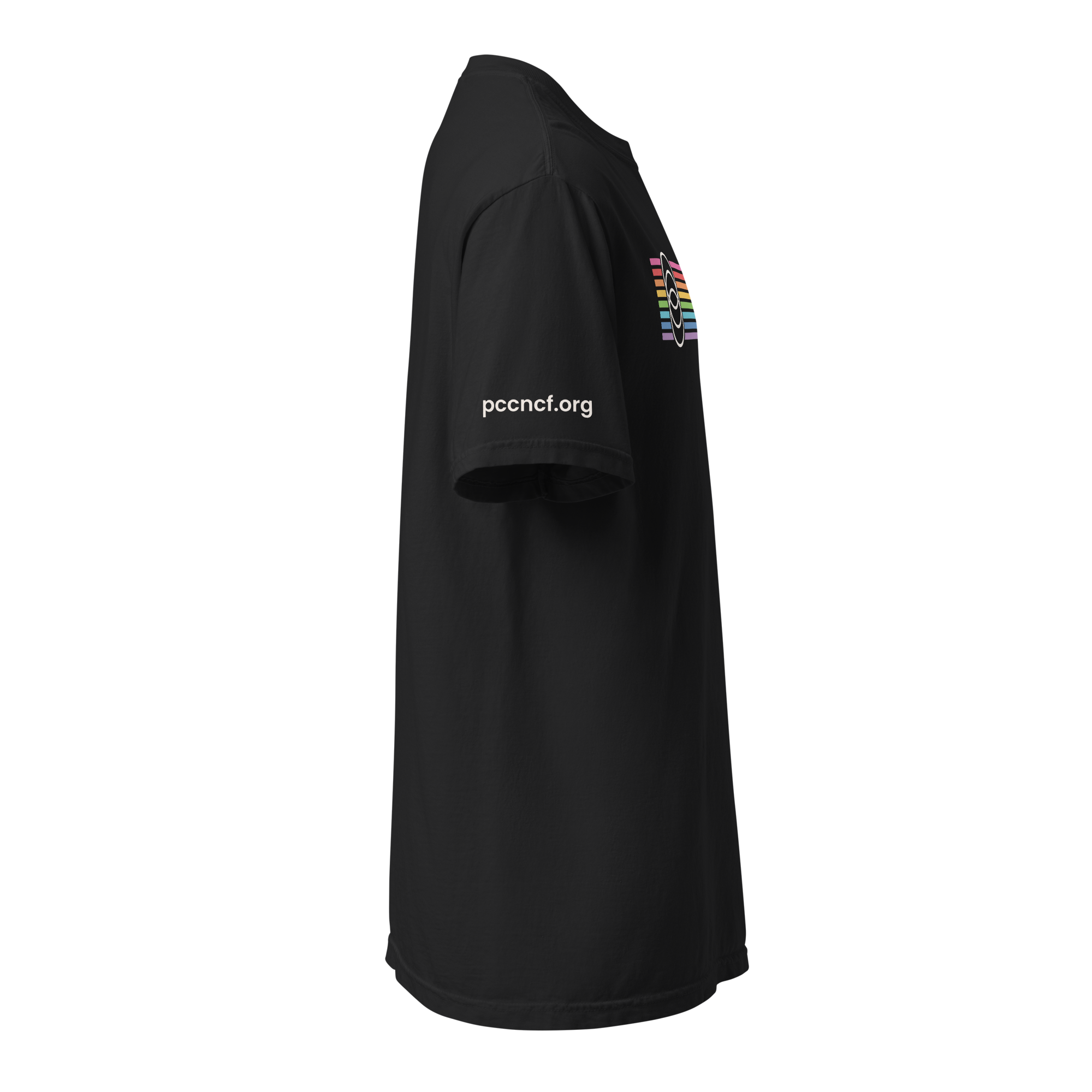 Pride Lines | Heavyweight Tee