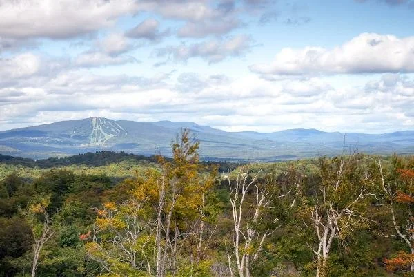 Scenic view of distant mountains with partially snow-capped peaks, and a lush green forest in the foreground under a partly cloudy sky.