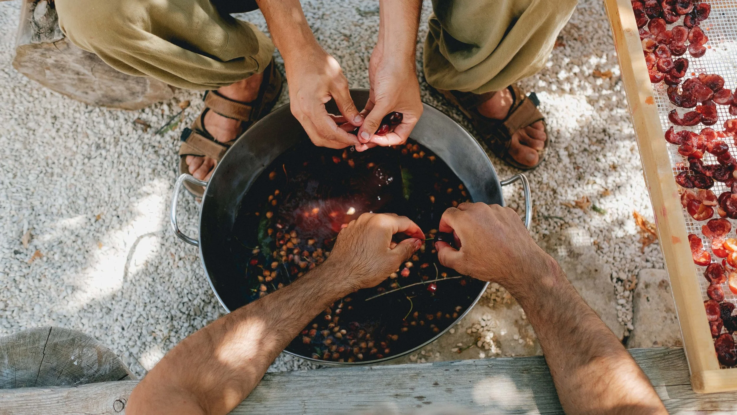 The Warren 2017_highres_1007.jpg