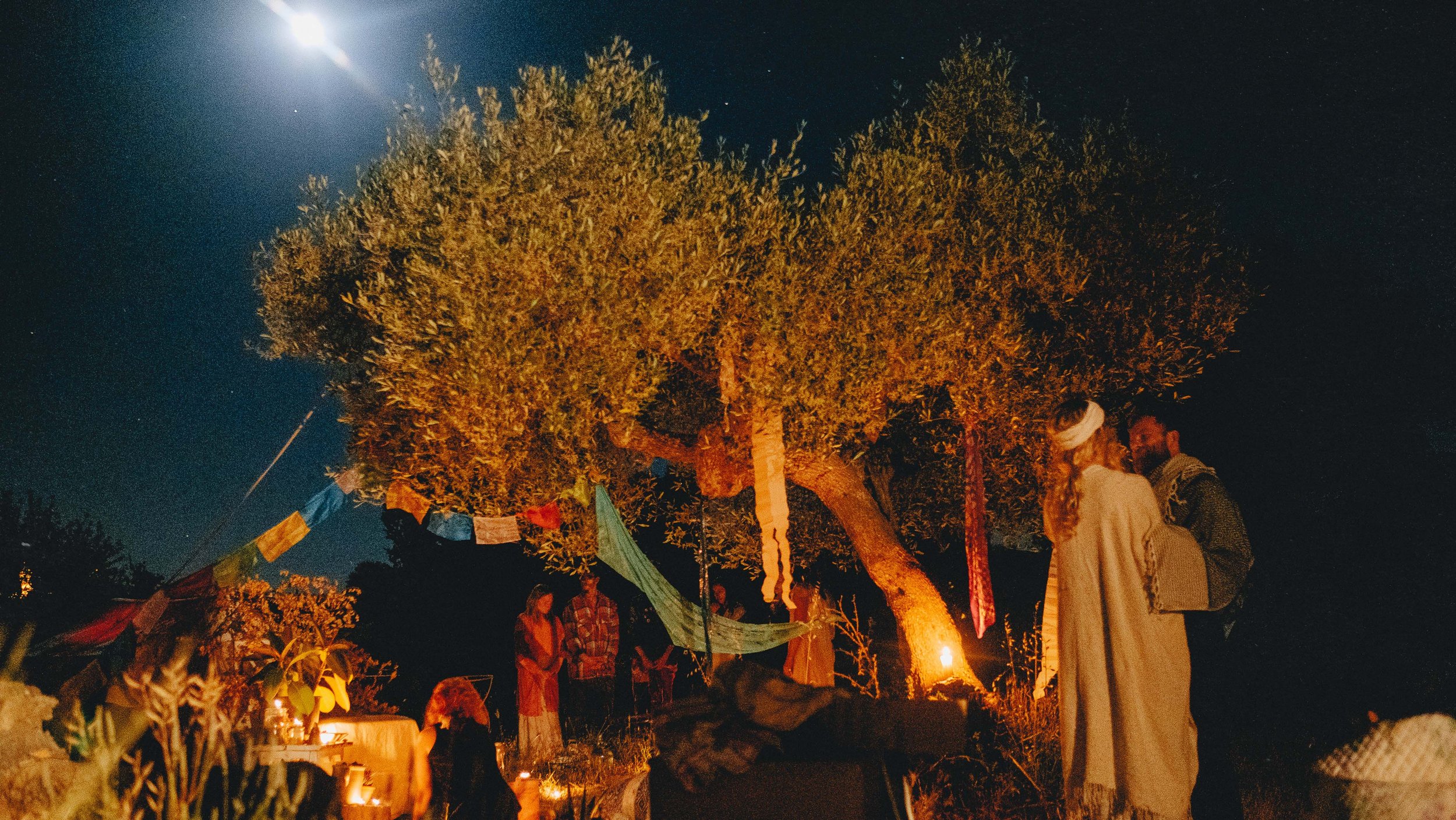 The Warren 2017_highres_1104.jpg