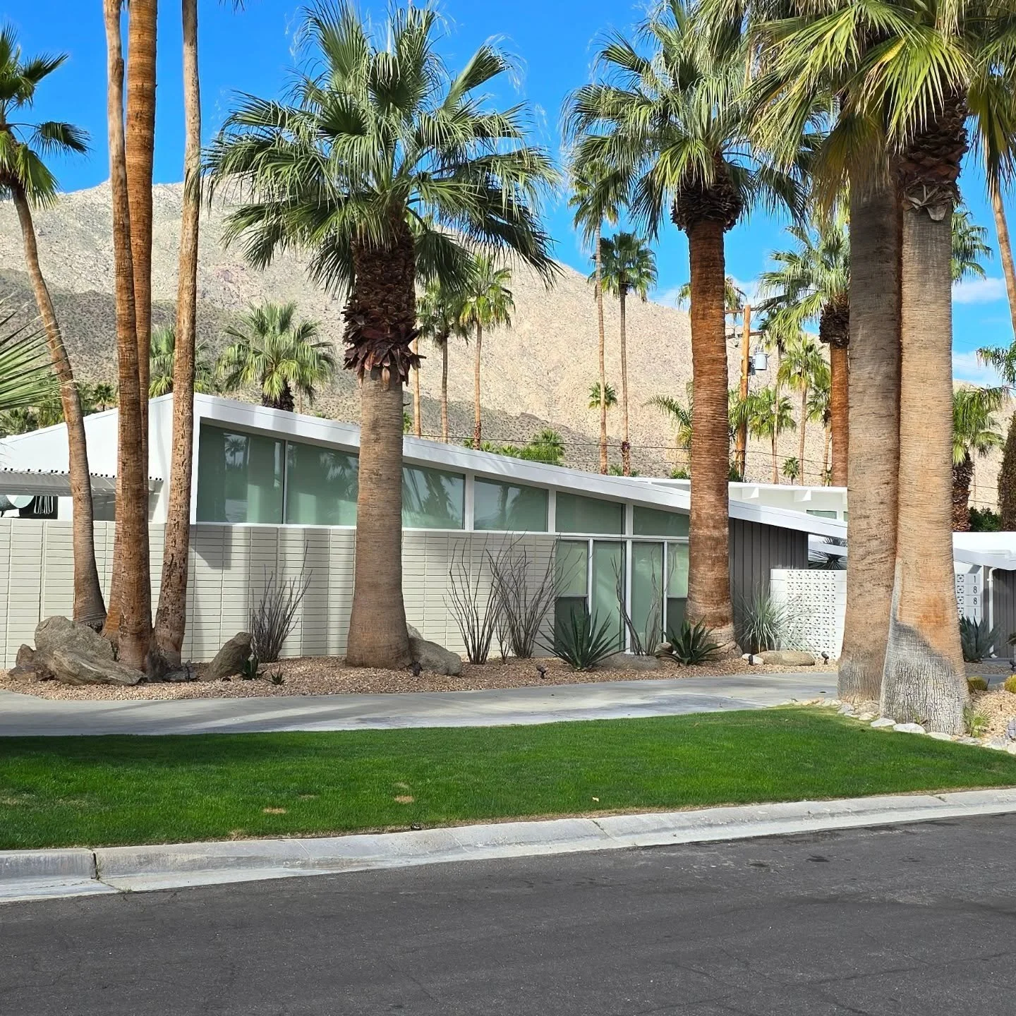Twin Palms neighborhood, one of our favorites. 
The partnership between Palmer &amp; Krisel and the Alexander Construction Company, led by George and Robert Alexander, was among the most significant collaborations in postwar American residential arch