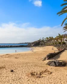 A sunny beach scene with golden sand, blue sky, palm trees, and a rocky jetty extending into the ocean.