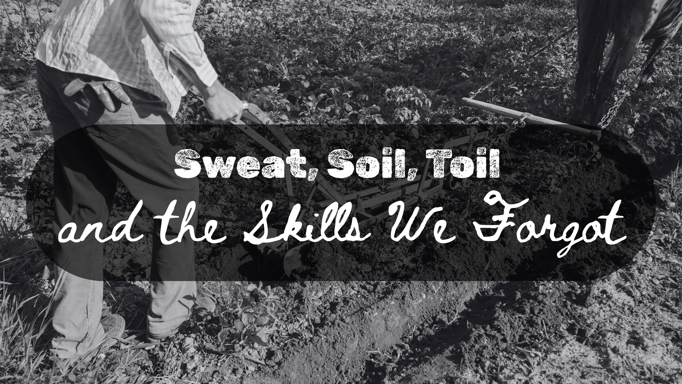 Sweat, Soil, Toil and the Skills We Forgot