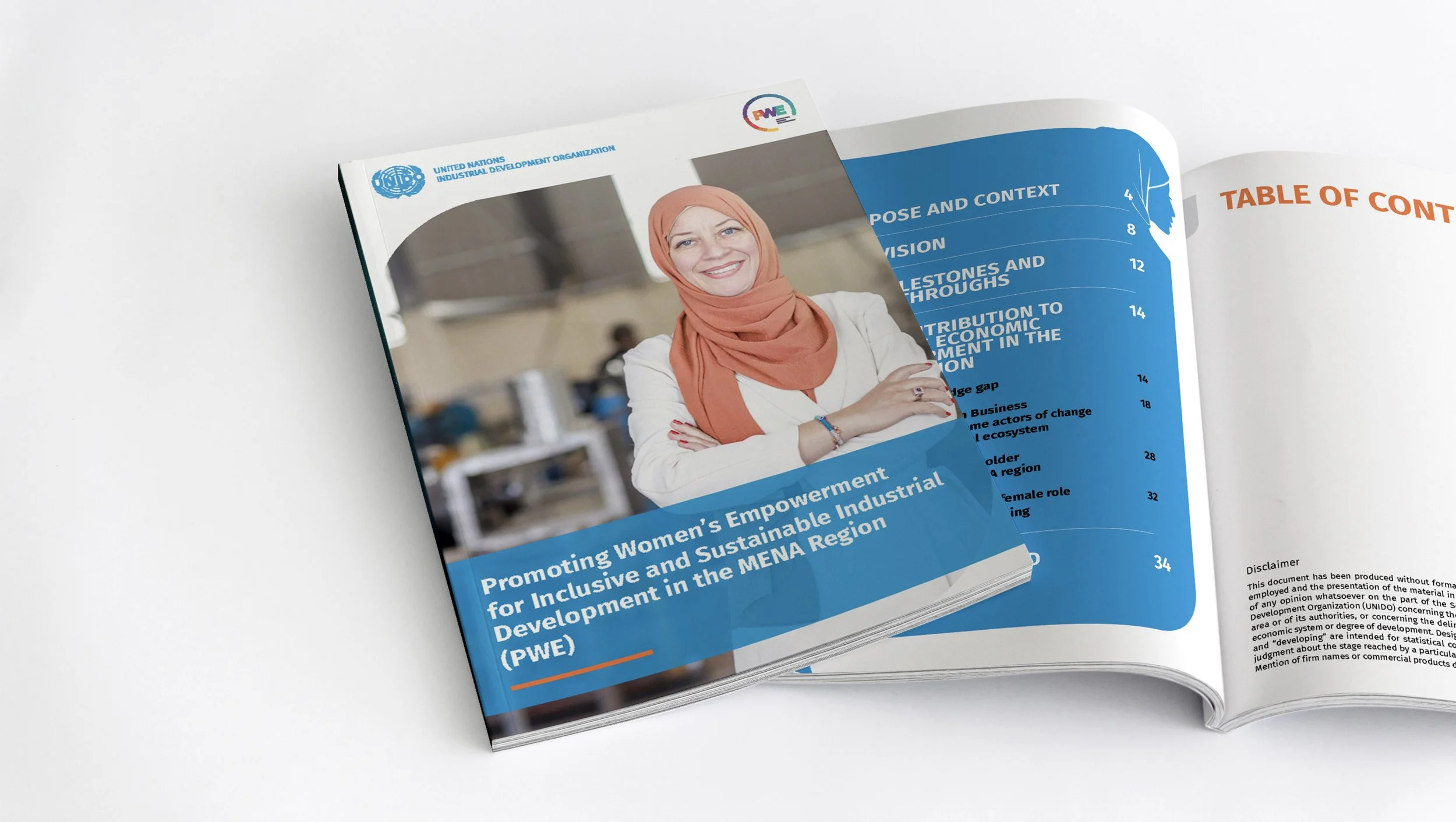 UNIDO PWE (MENA region)