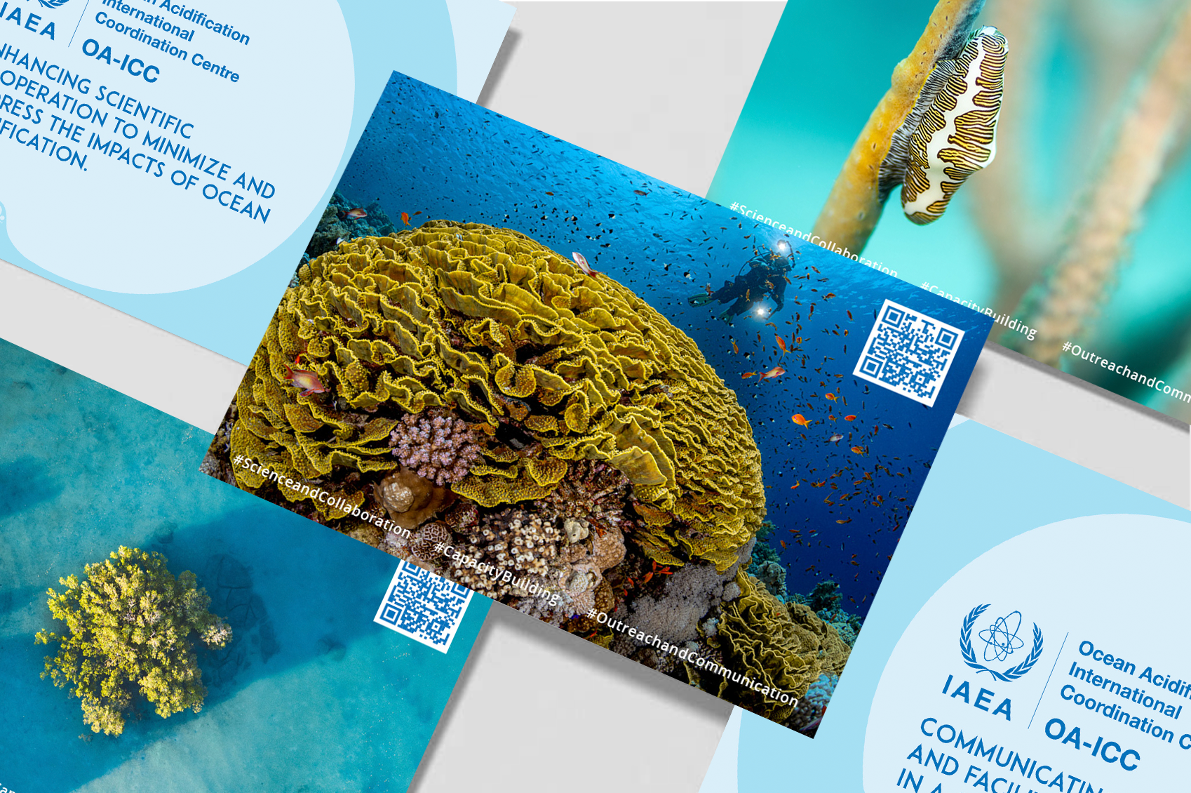 The IAEA Ocean Acidification International Coordination Centre (OA-ICC)