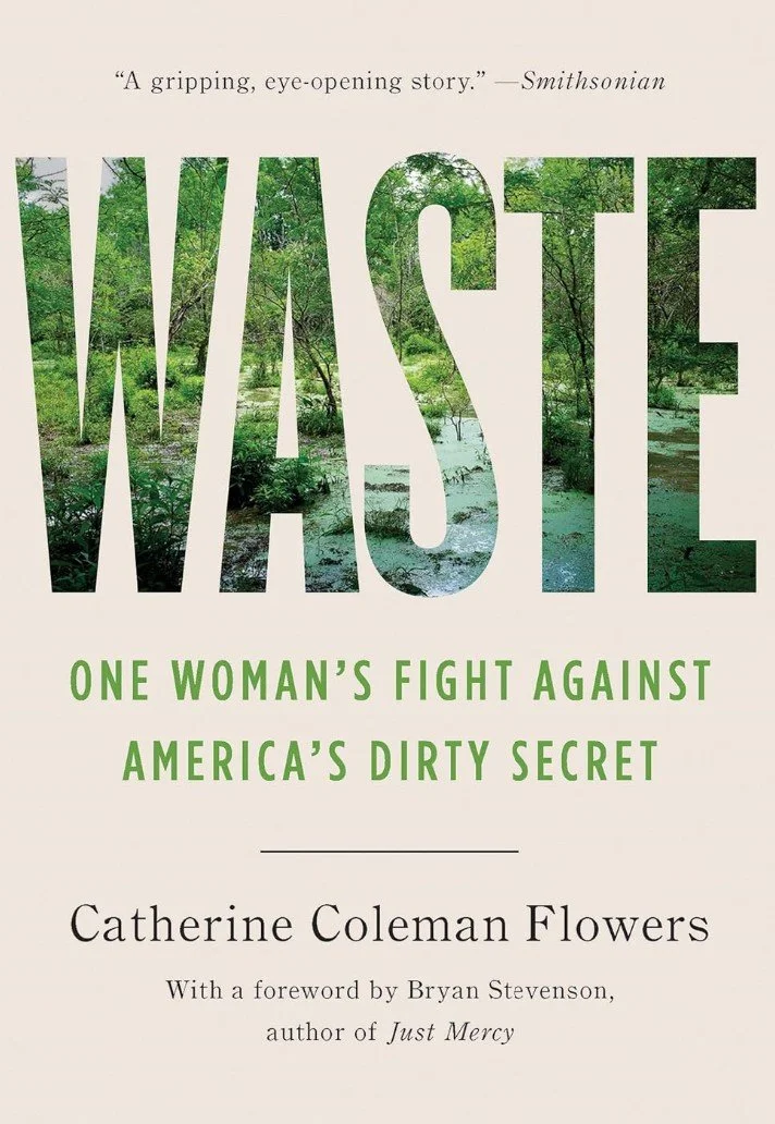 Modern building with wooden exterior, large glass window, surrounded by yellow-green vegetation, mountain range in the background.