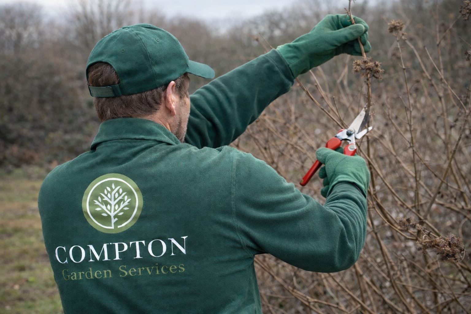 Pruning Tips - 5 Shrubs to Cut Back for Better Summer Blooms