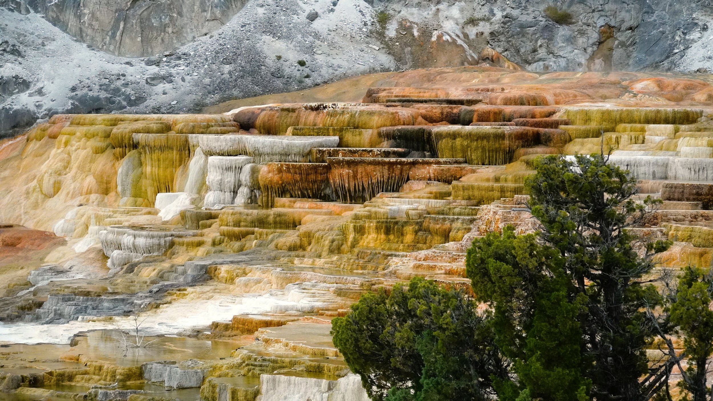 Mammoth Hot Springs