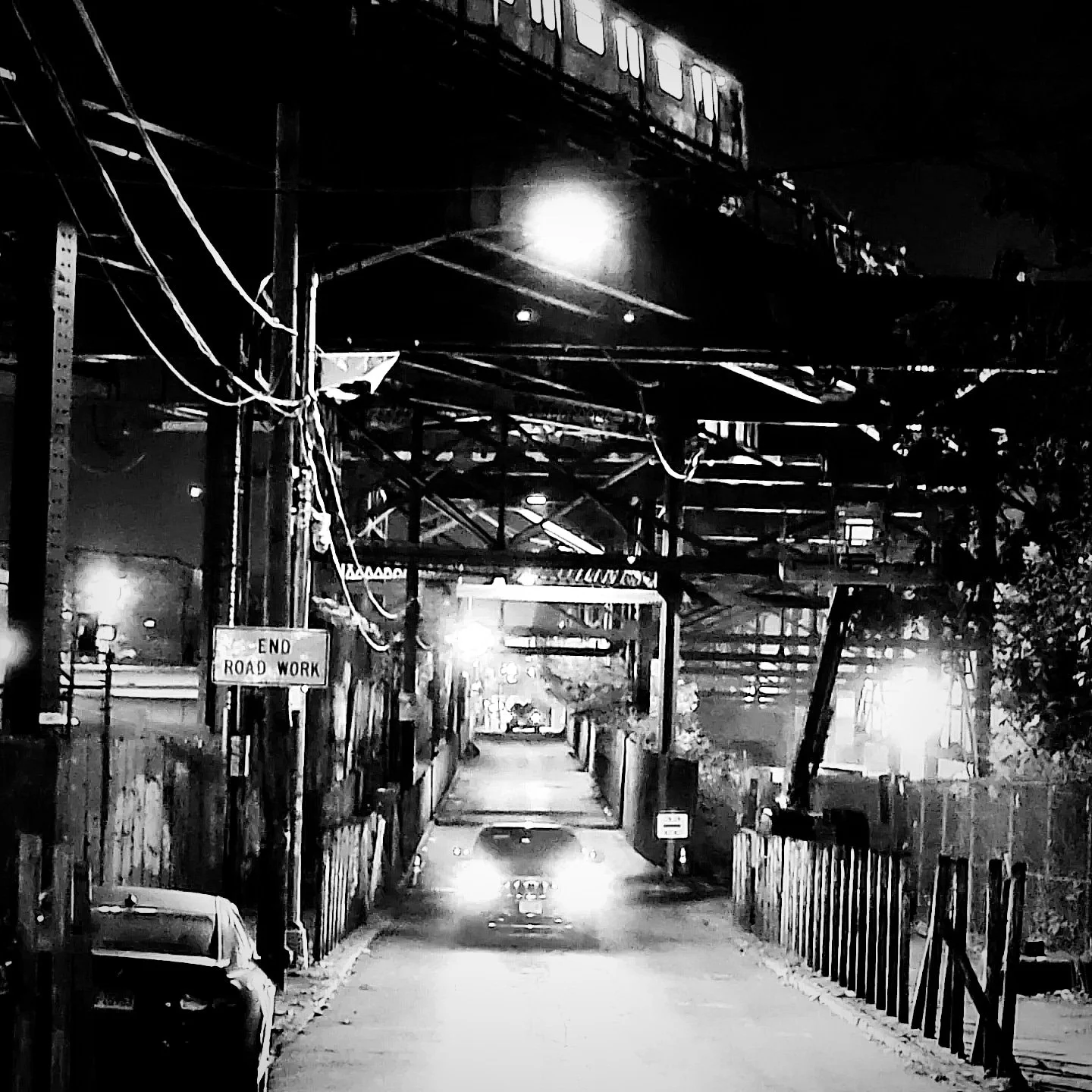 "Friend or Foe?"  Brooklyn, NY 2022