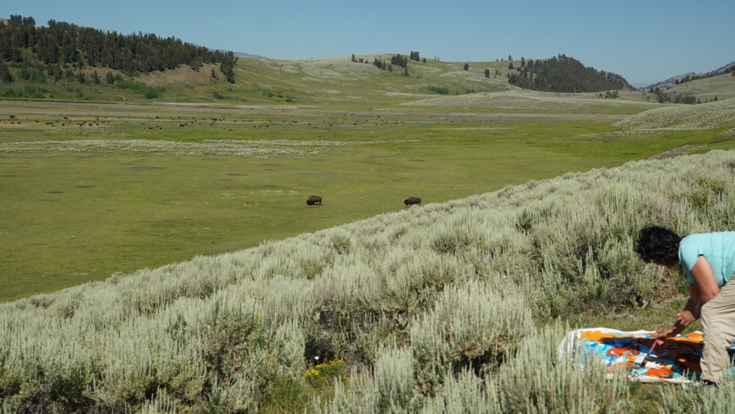 Moshgan Plein Air Yellowstone I