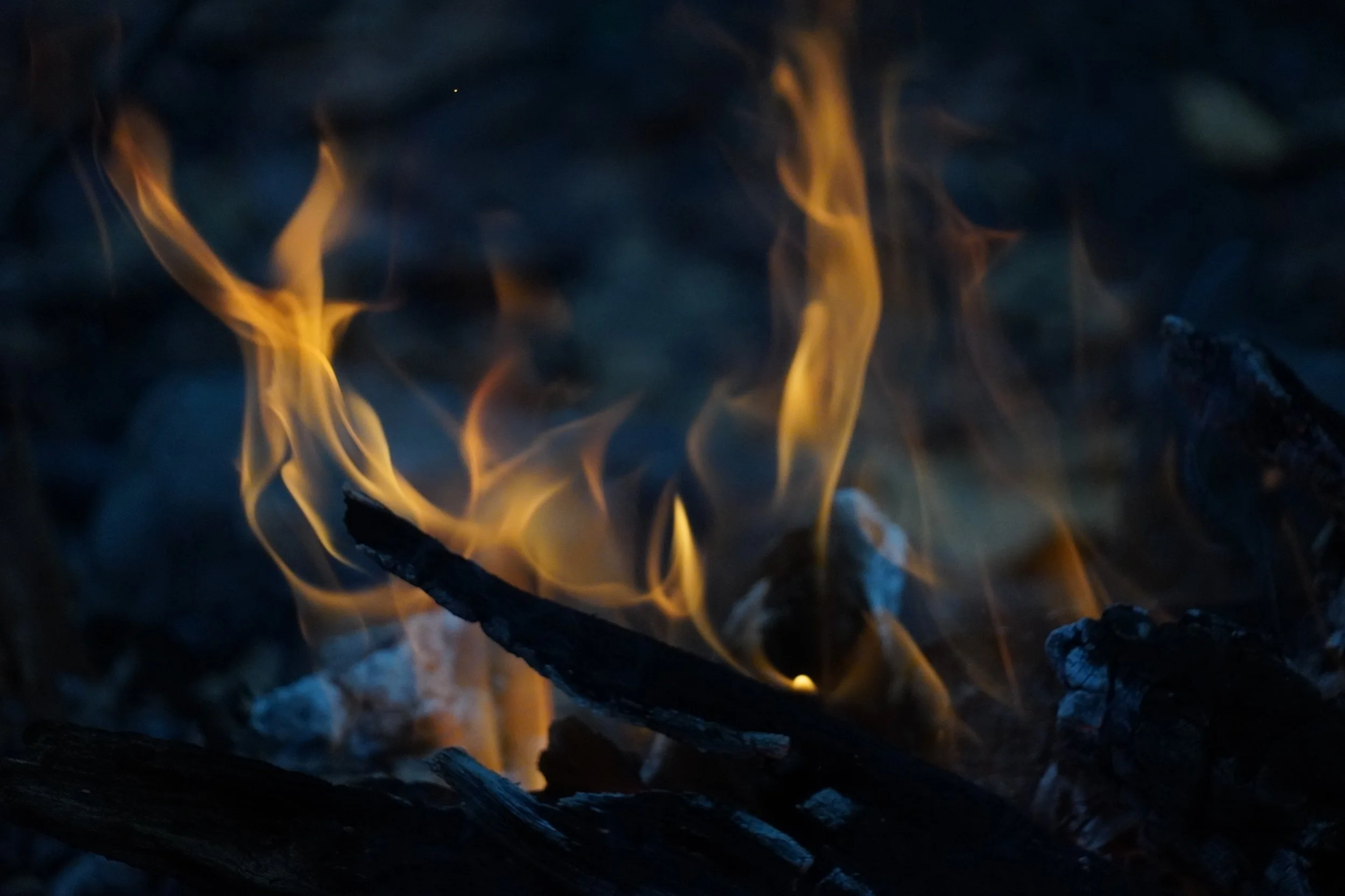 Fire Antlers Harriman State Park, NY 2025