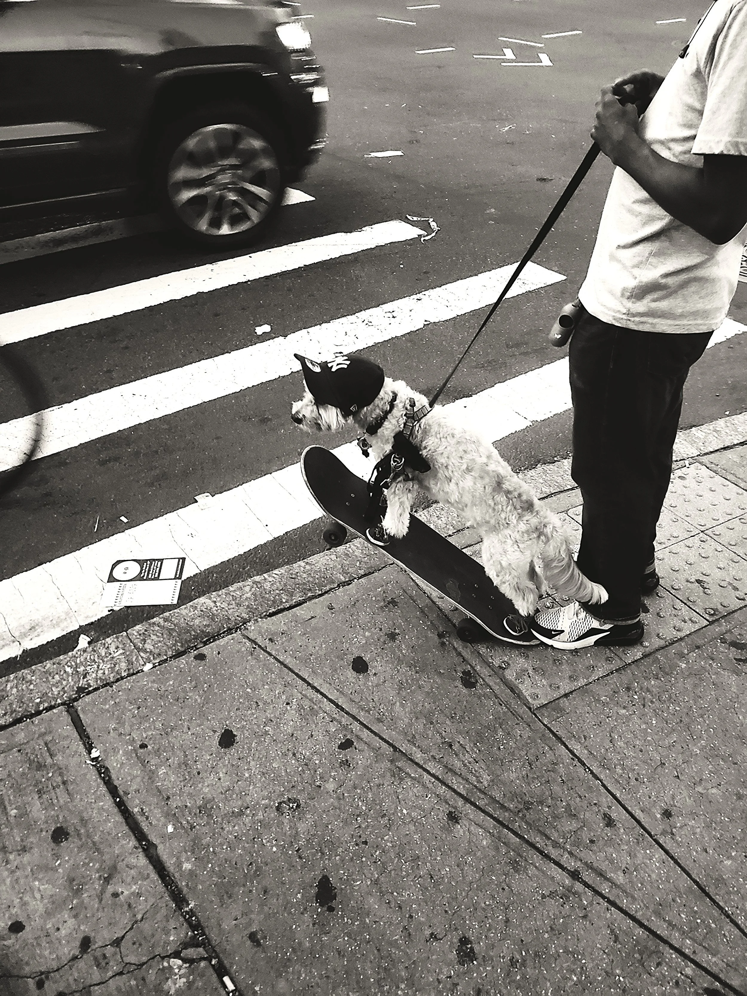 Phil Gardiner_ LET'S GO! Houston Street NYC 2023.JPG