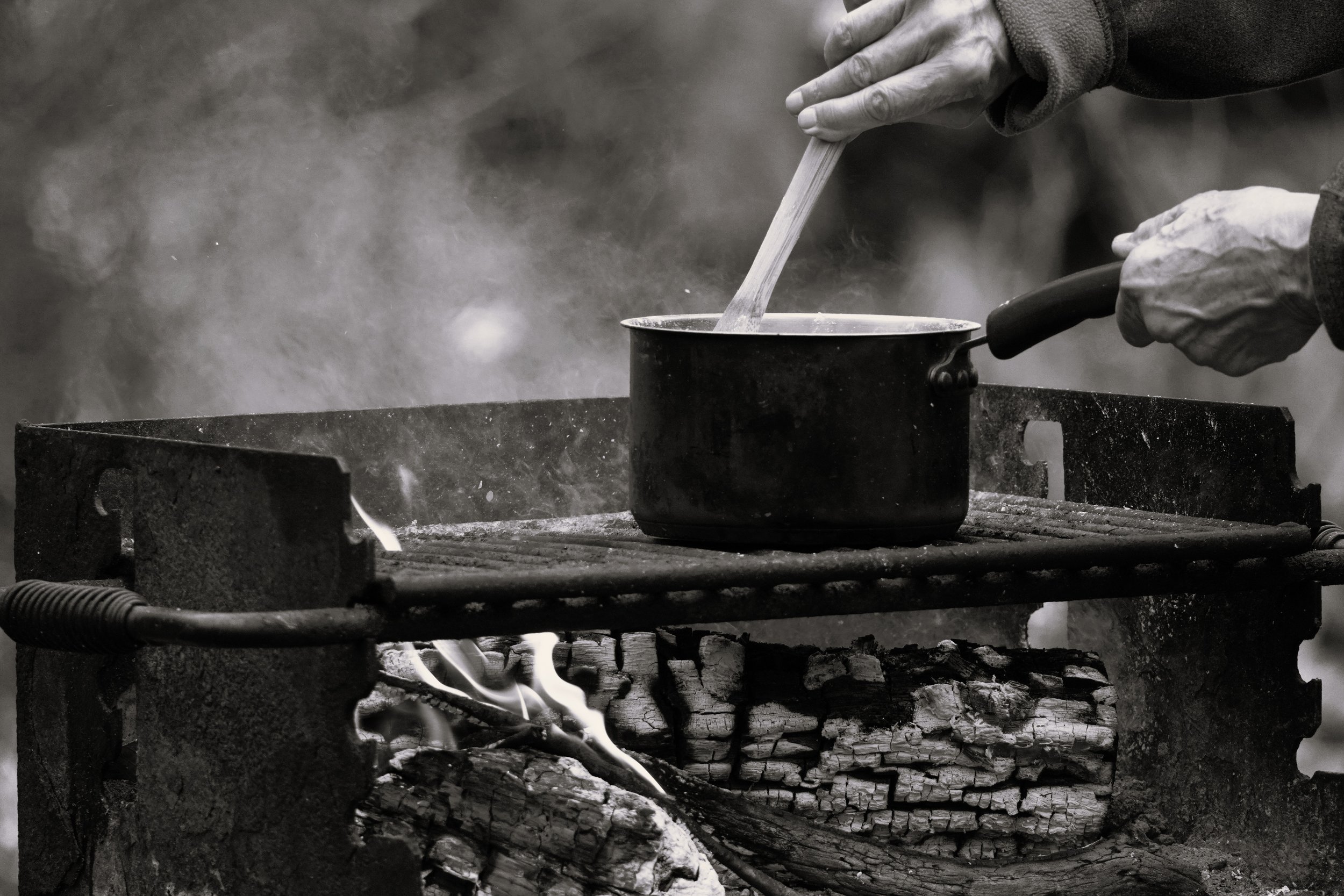 Caring  Hands B&W Harriman State Park 2024