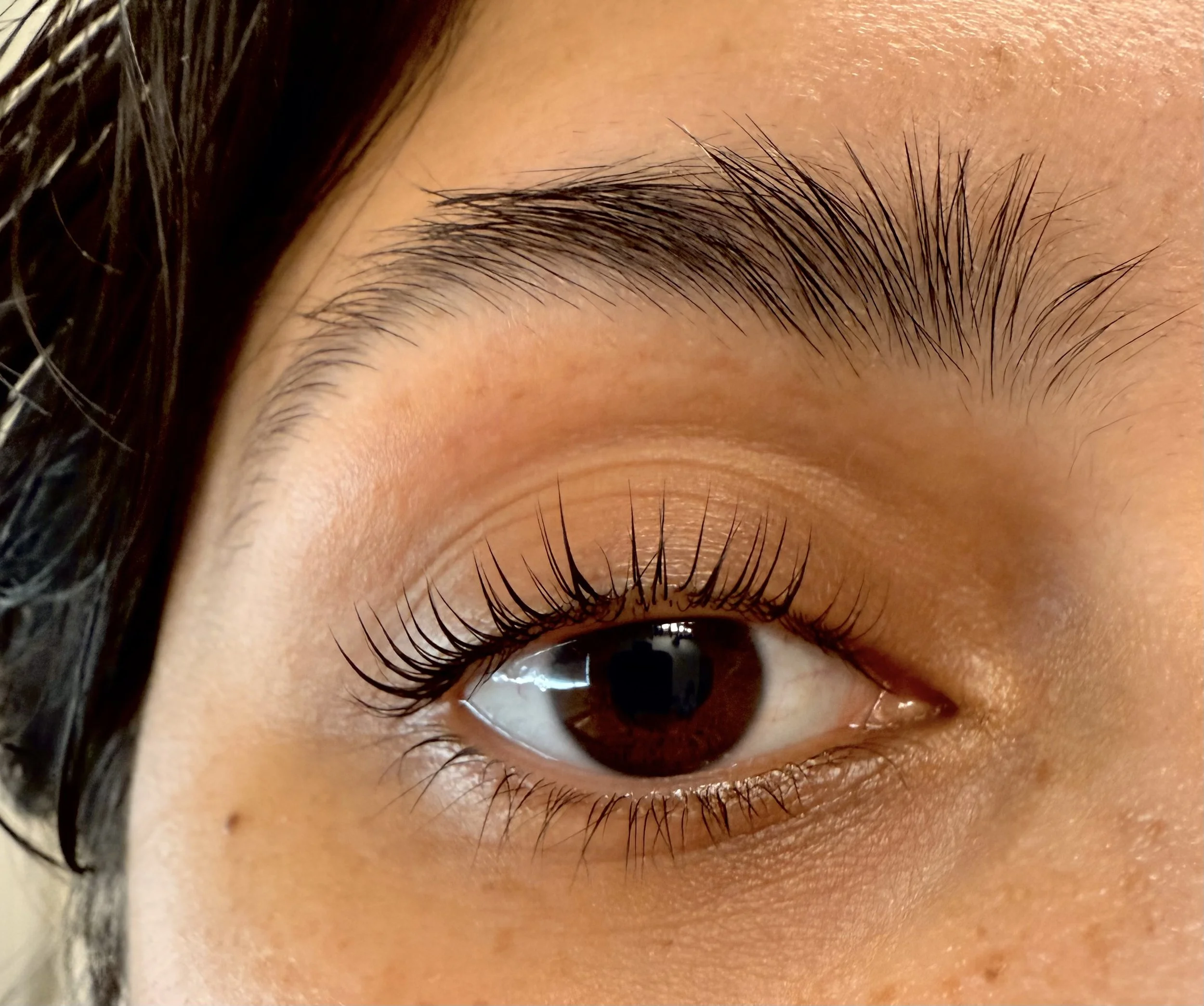 Closeup of a woman's eye and lashes post a lash lift