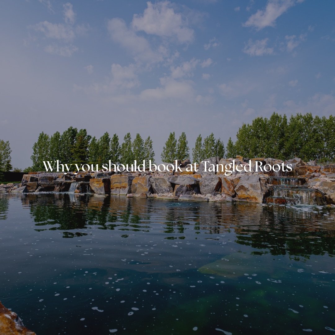 We could probably list 100 more but here&rsquo;s a few reasons why you should choose Tangled Roots 

We take pride in constantly improving and putting you first. When you book at Tangled Roots, you&rsquo;re not just another client, you become a part 