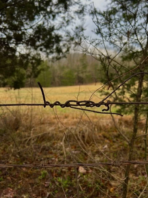 Mended Fences