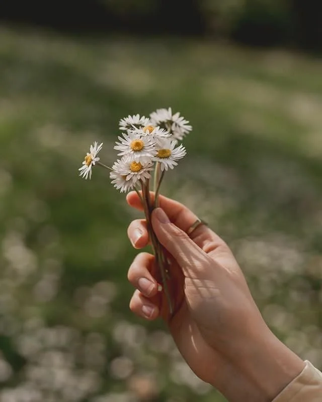 Squamish counsellor Squamish therapist Squamish counselling trauma therapist Squamish and online counselling in BC, clinical counselling squamish
trauma therapist squamish
somatic therapy squamish
relationship counselling squamish
anxiety therapist