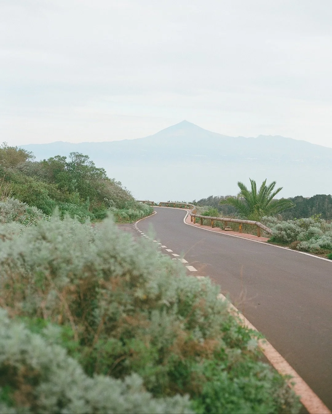 120 frames on La Gomera