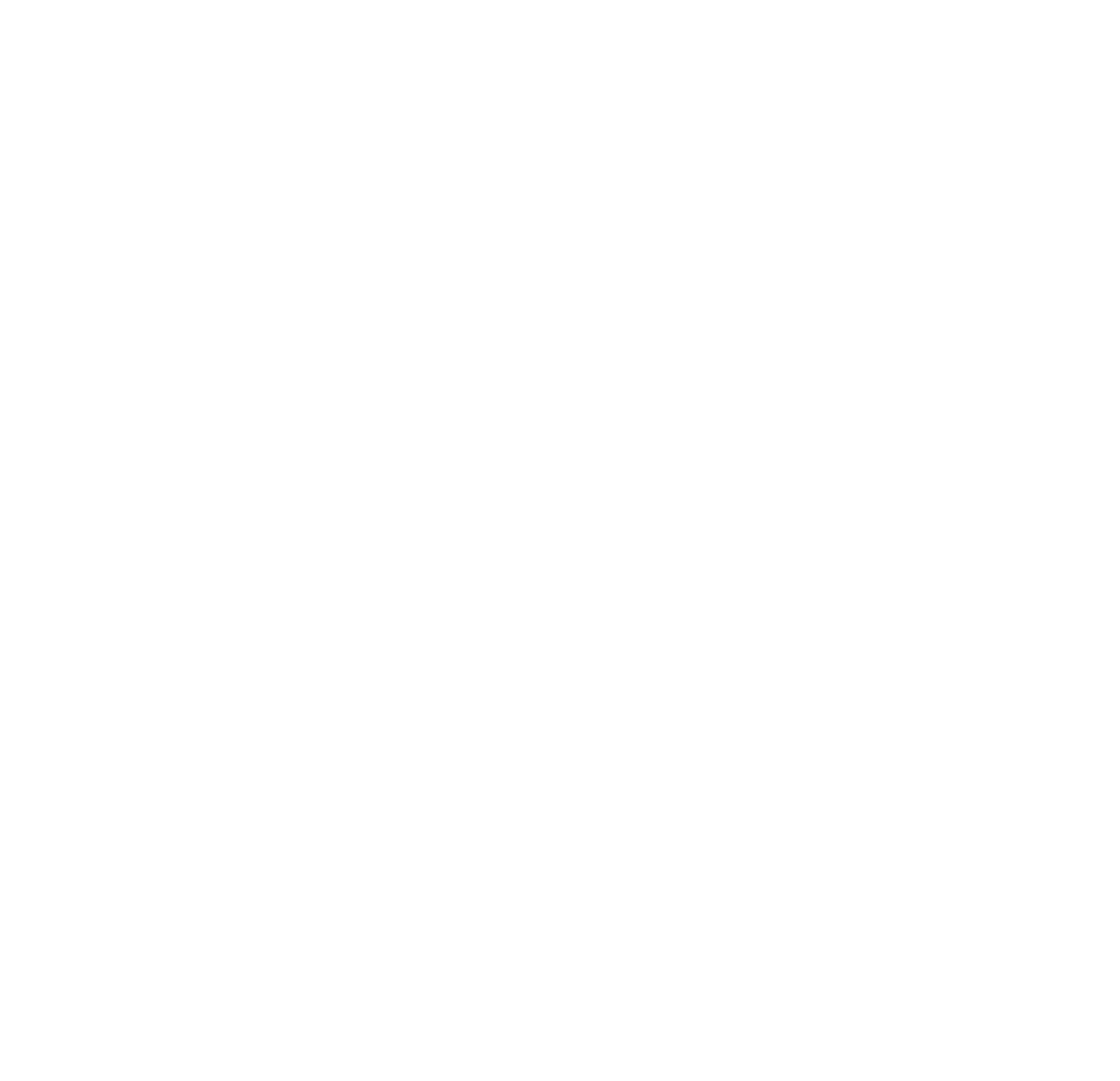 Maximize Studio & Design hospitality and experience consultancy logo