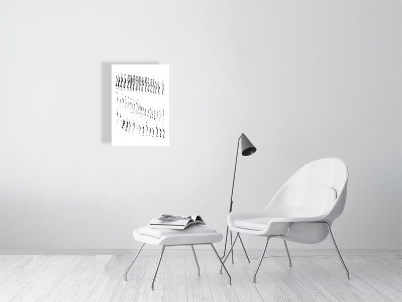 Catwalk Fine Art Print