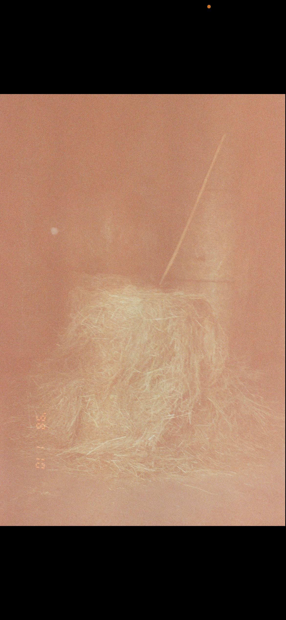 IMG_6463 2.PNG