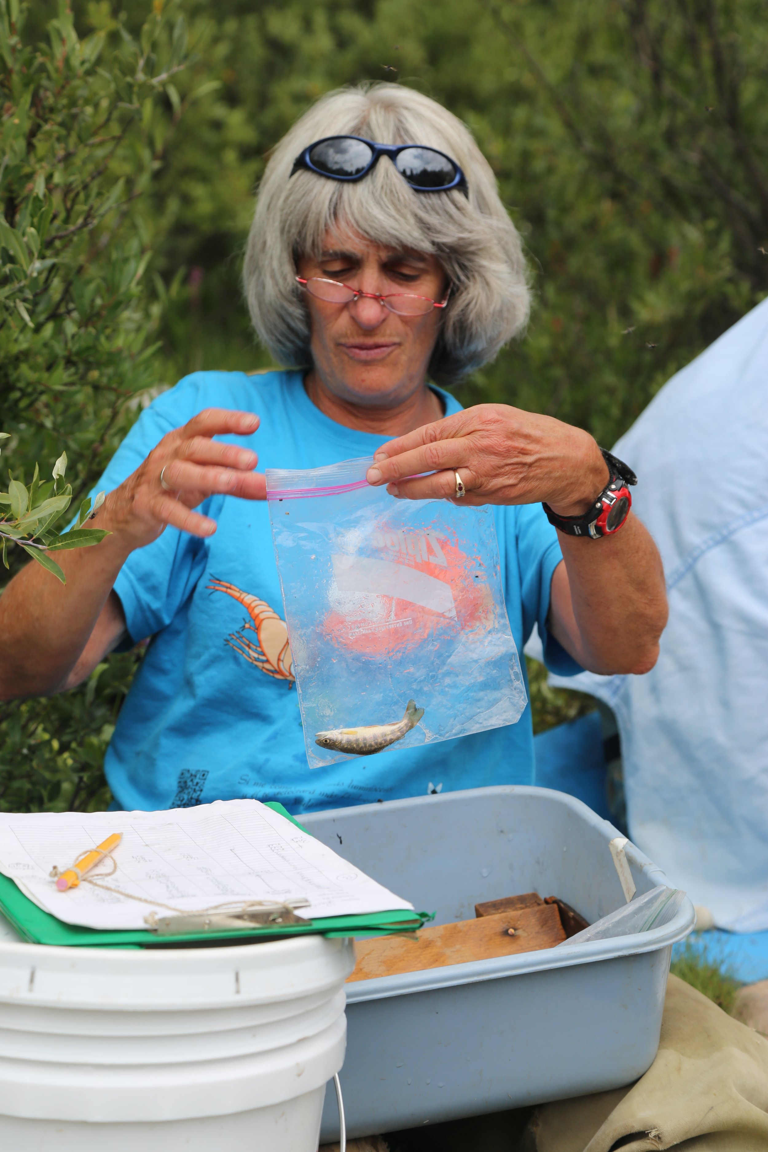Bobbi fish 2014.jpg