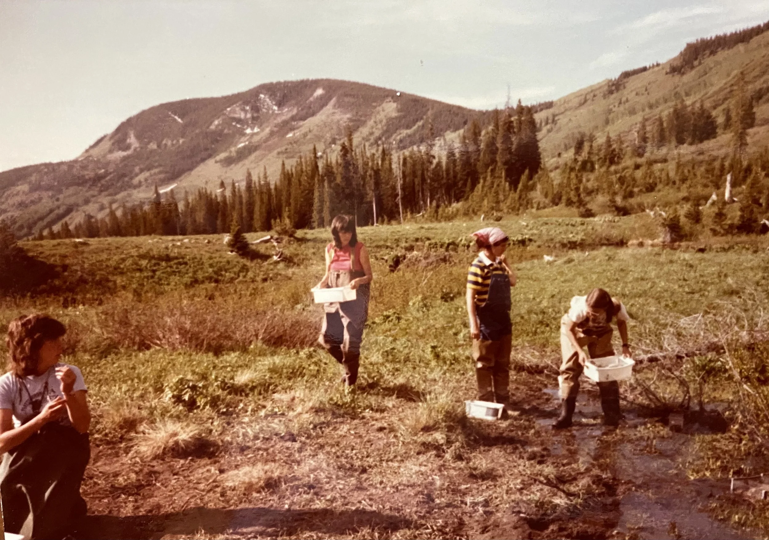 Four children working in a garden or field in a mountainous area with trees and a mountain in the background. Two of the children are standing and holding containers, while the other two are bending over, working in the soil.