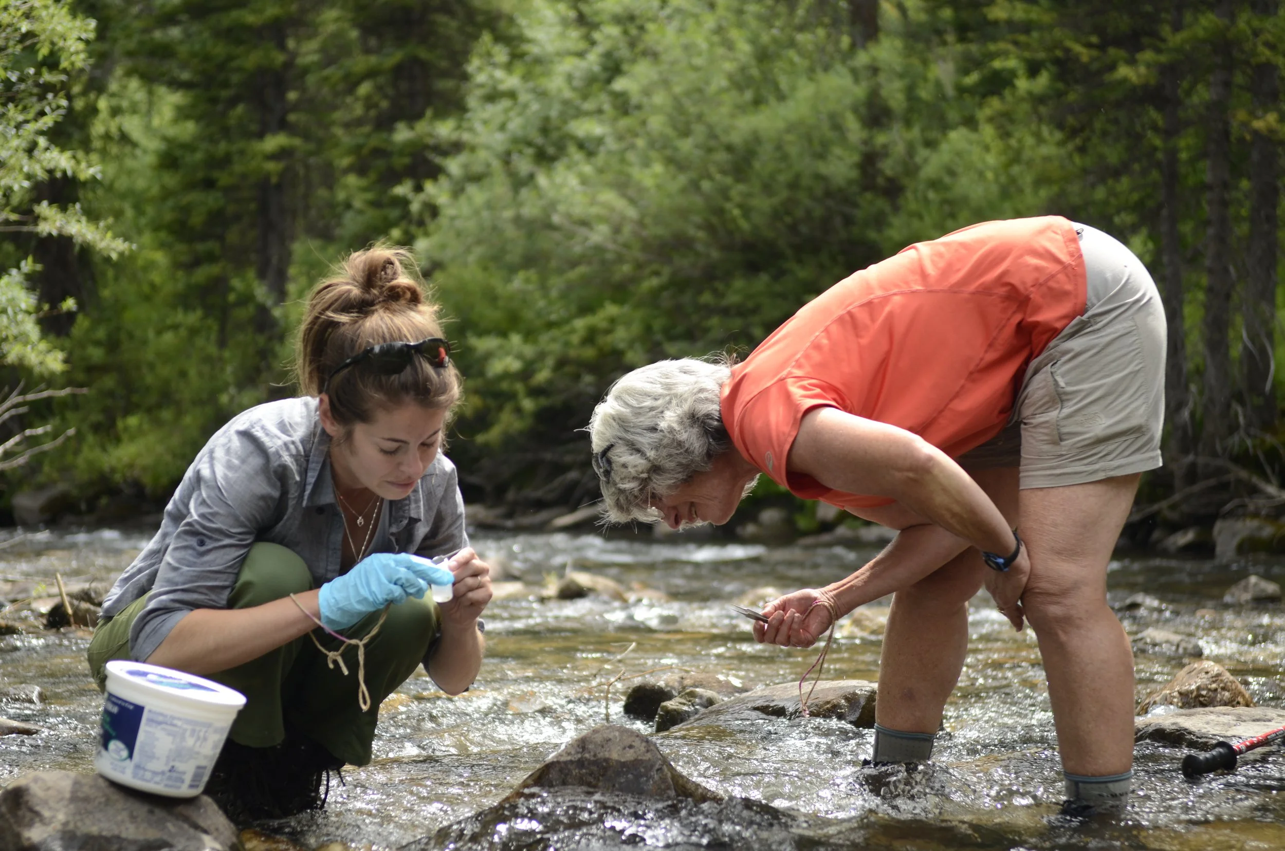 Two women in a creek examining rocks and water, one young woman with gloves and a container, the other older woman with a small tool or device, surrounded by green trees.