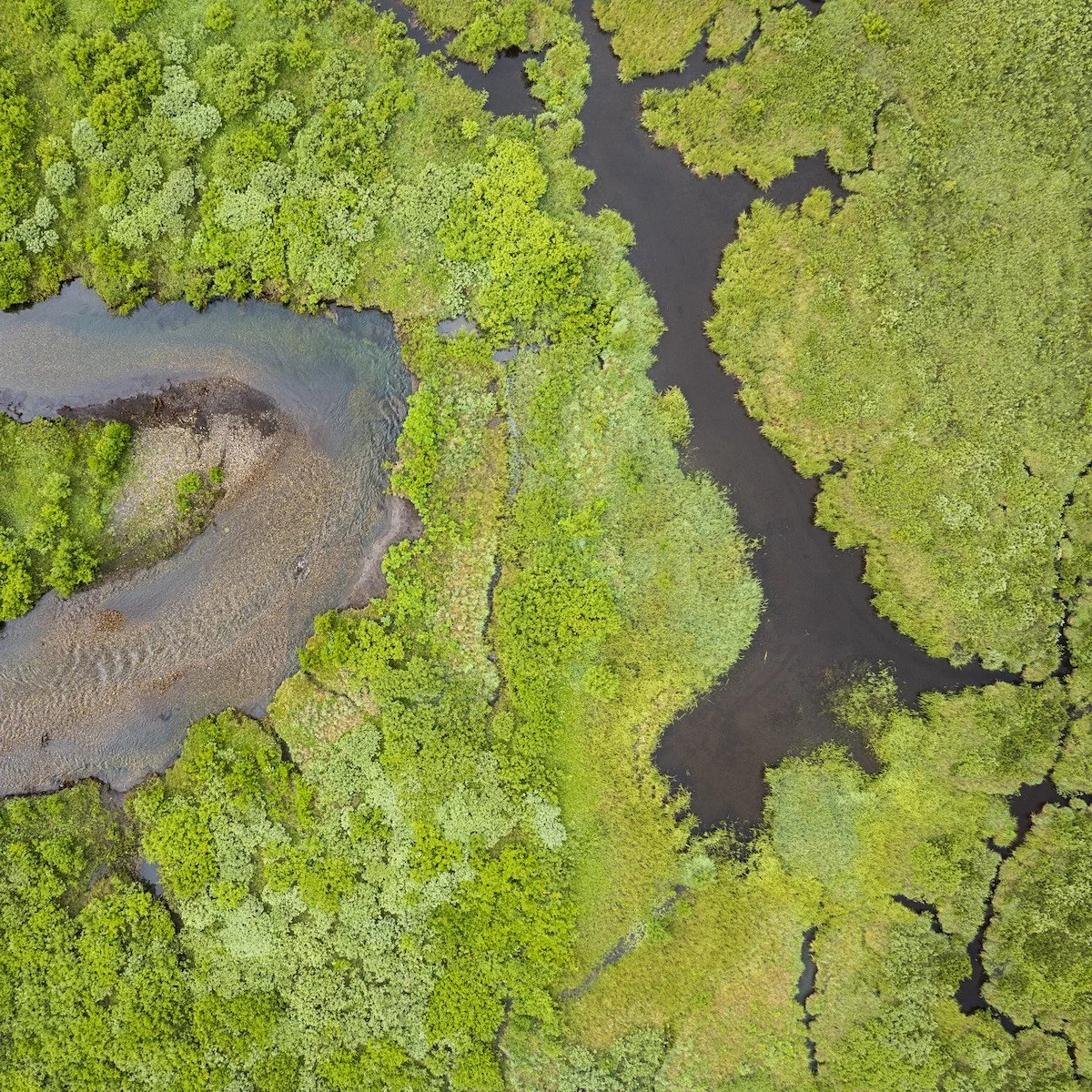 Aerial view of a river meandering through lush green wetlands and marshes.