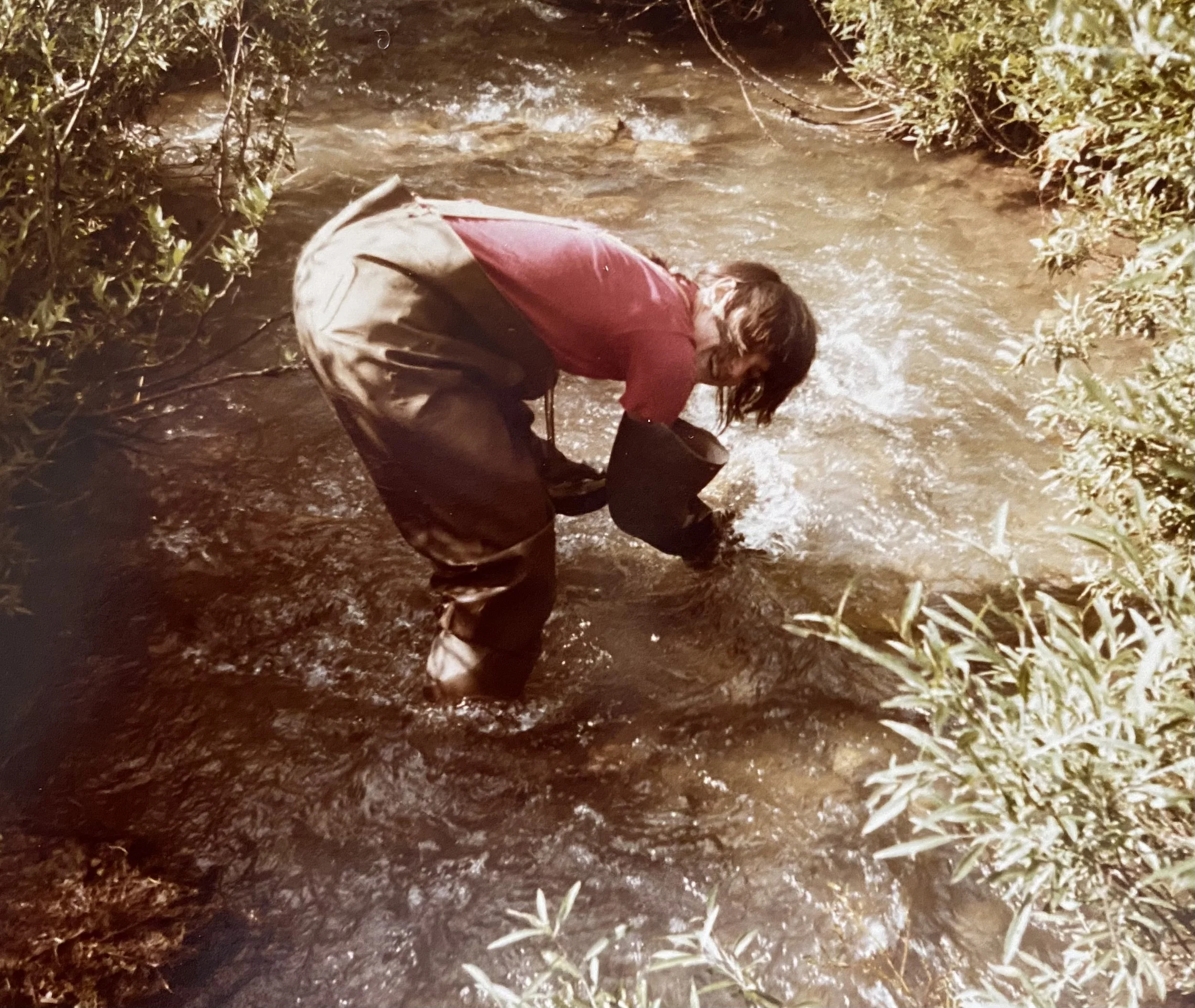 Person bending over in a creek wearing a red shirt and camouflage pants, surrounded by green bushes.