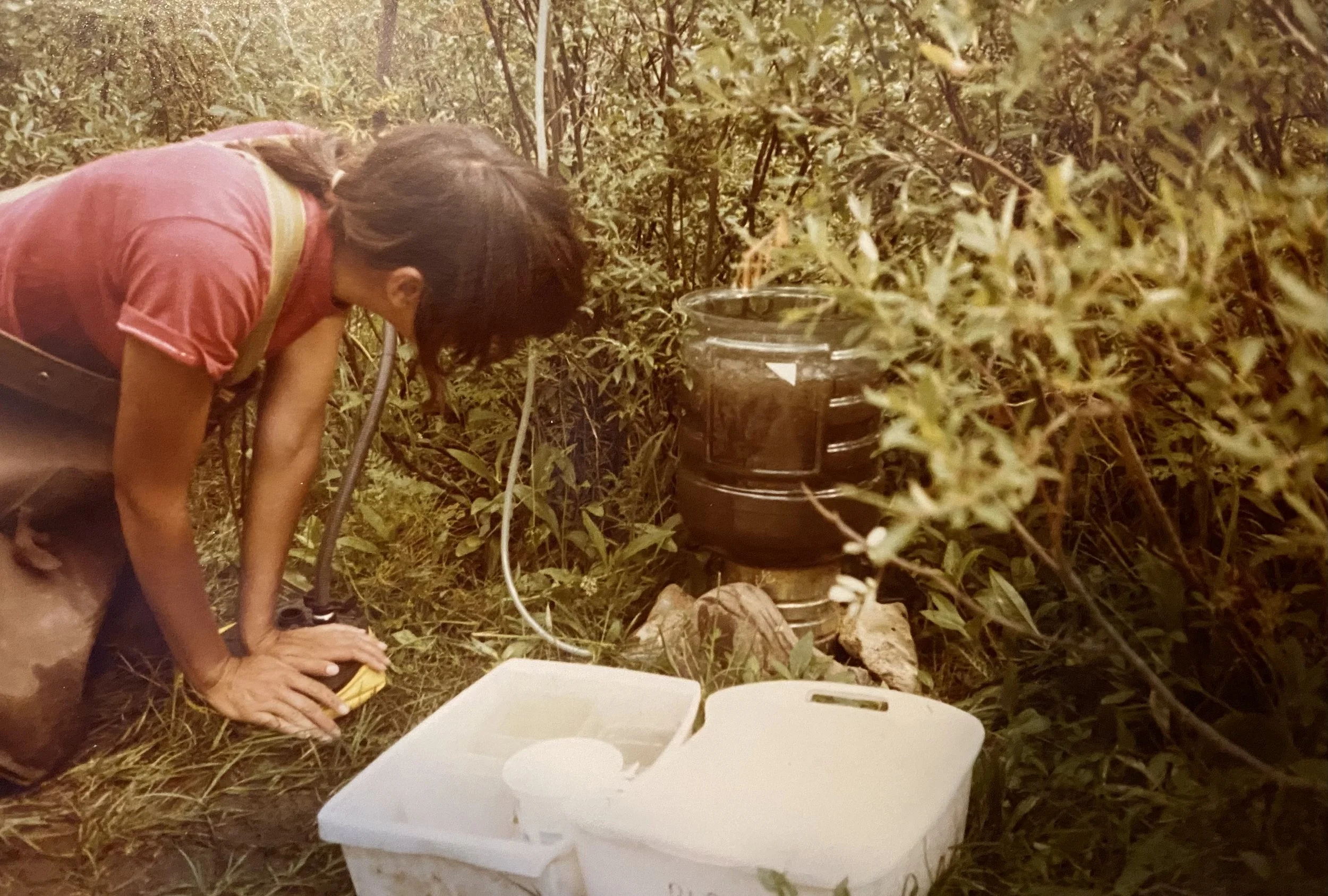 A person kneeling down in a grassy area, using a yellow device to operate some equipment near a large black container surrounded by bushes.