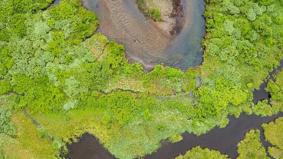 DJI_0066_web.jpg