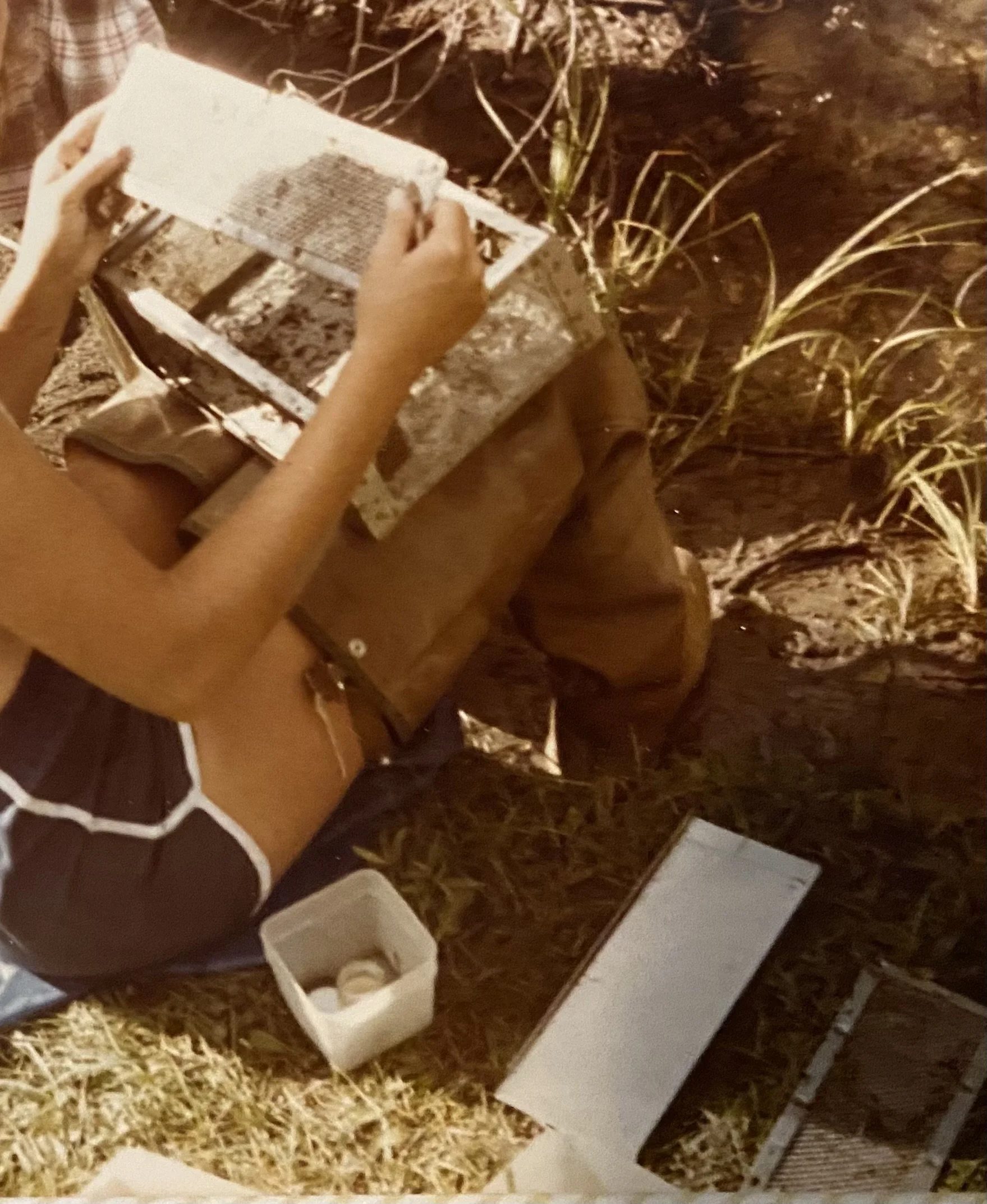 Person holding a rectangular wooden frame with mesh screen, possibly for a pest trap, sitting outdoors on a cardboard surface with grass and plants nearby.