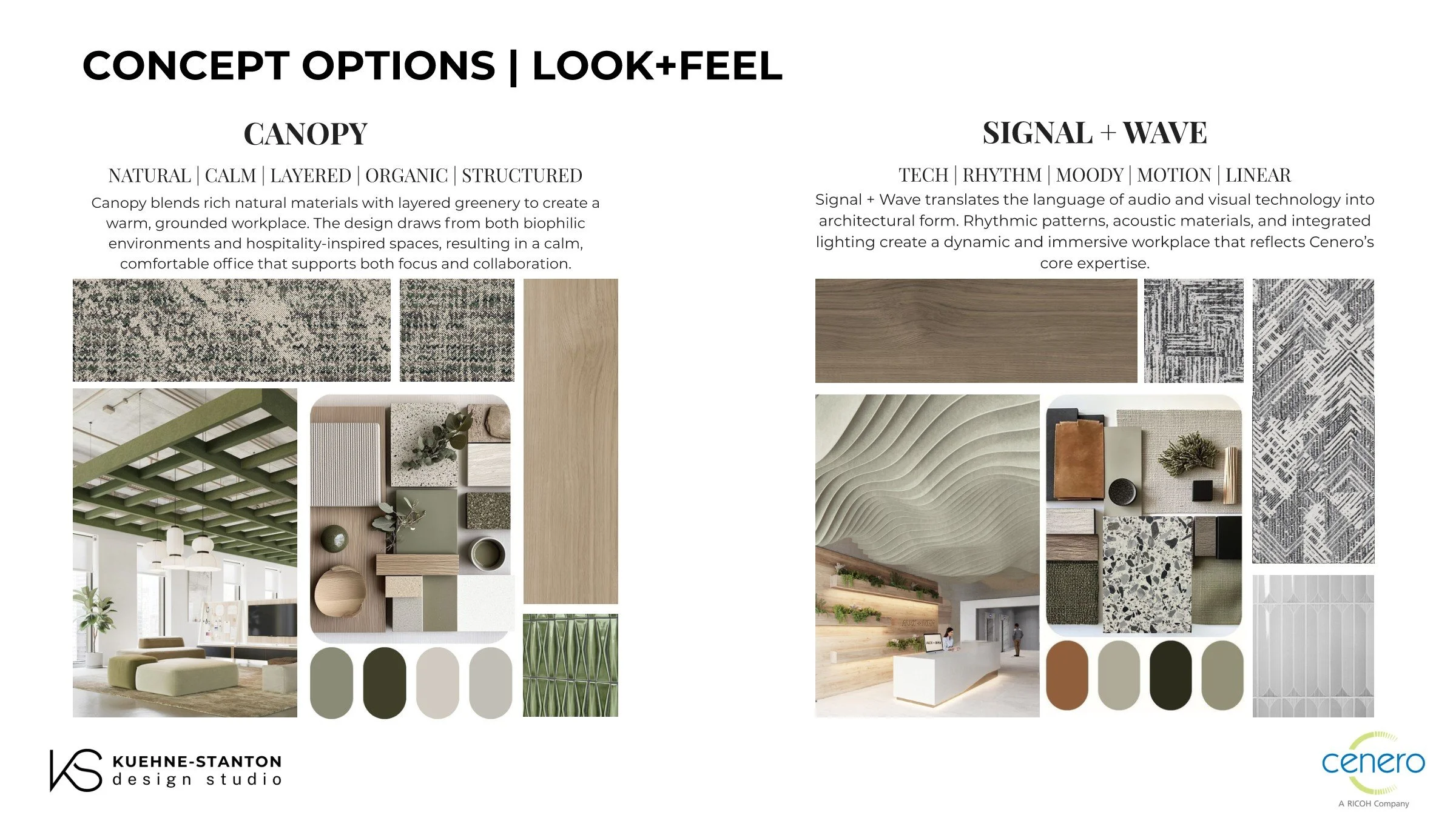 Concept Options