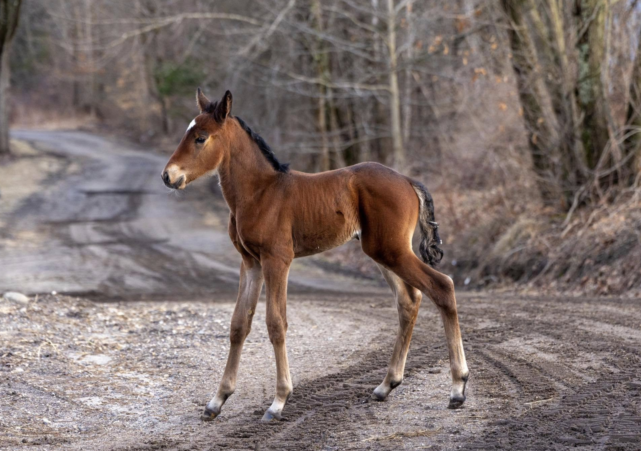 Screenshot 2025-07-25 at 1.36.55 PM.png