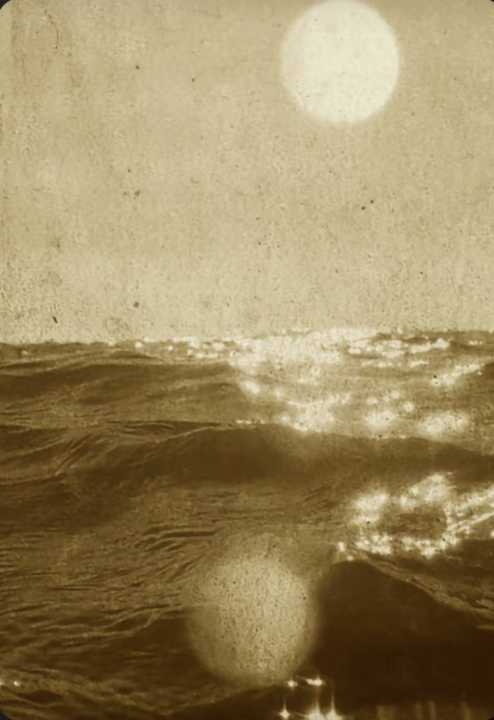 2026 Summer Outdoor Dance Series: Endless Waves