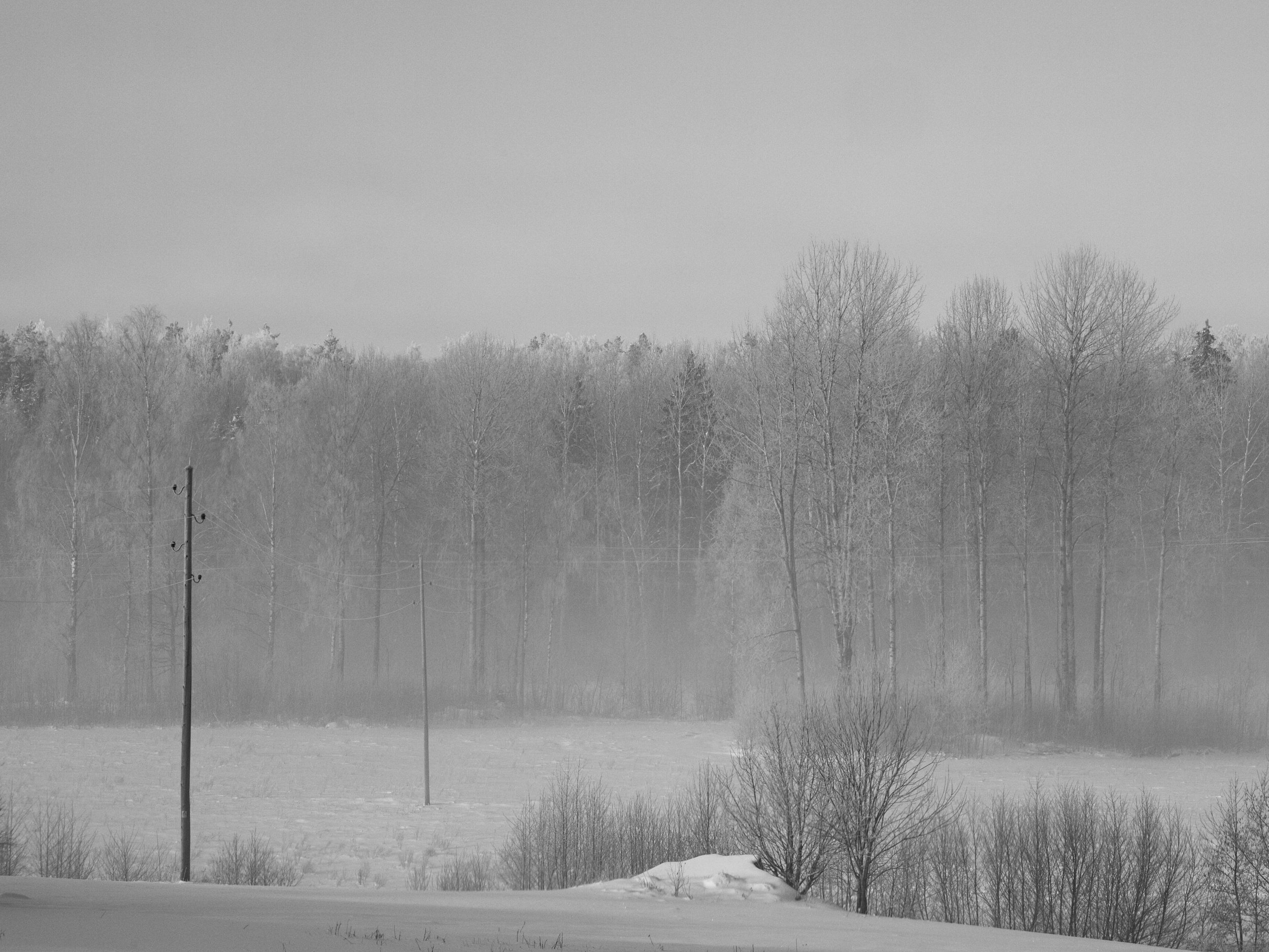 IMG_7656.jpg