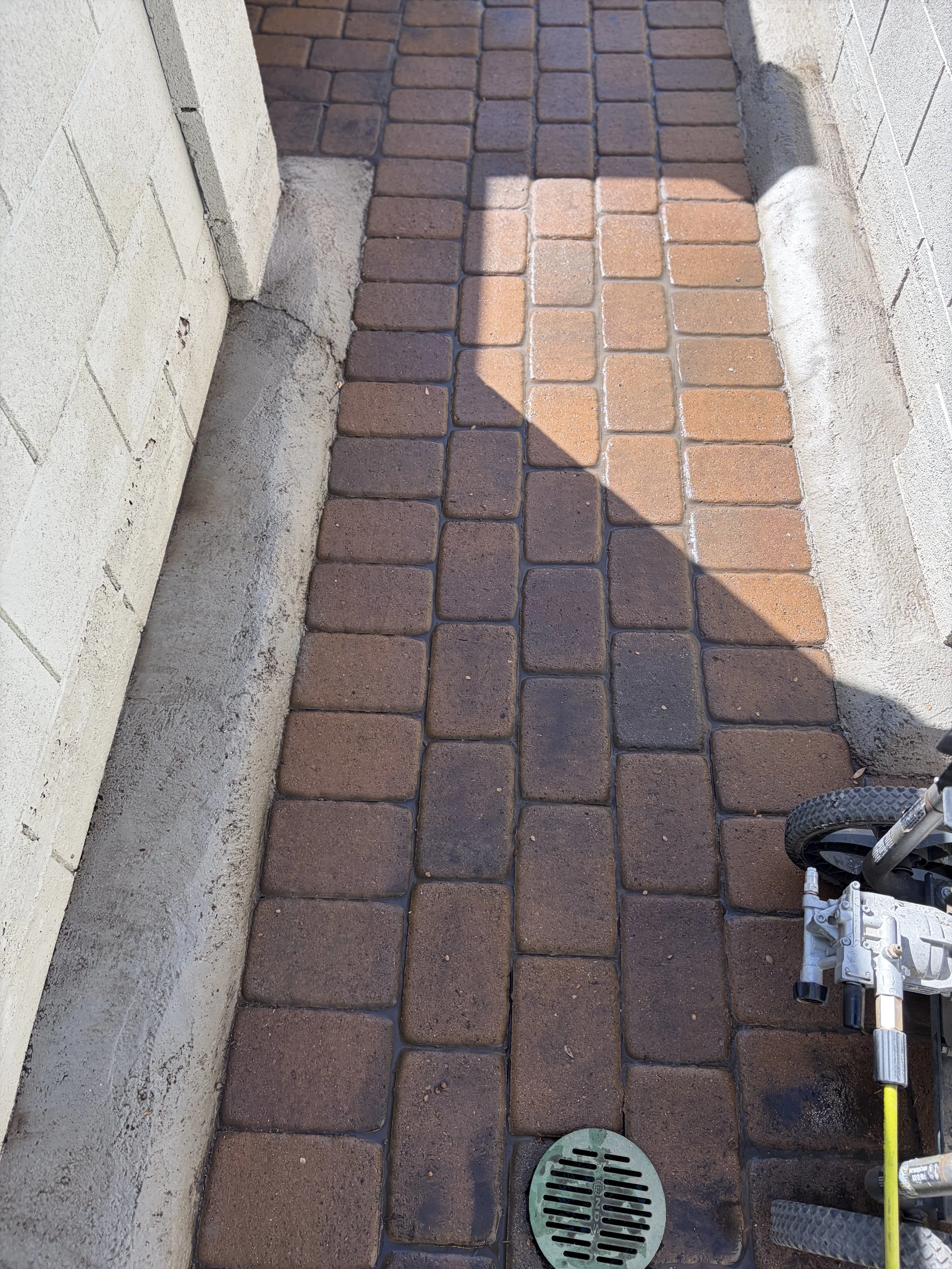 Custom Paver Install, Repairs and Restoration!
