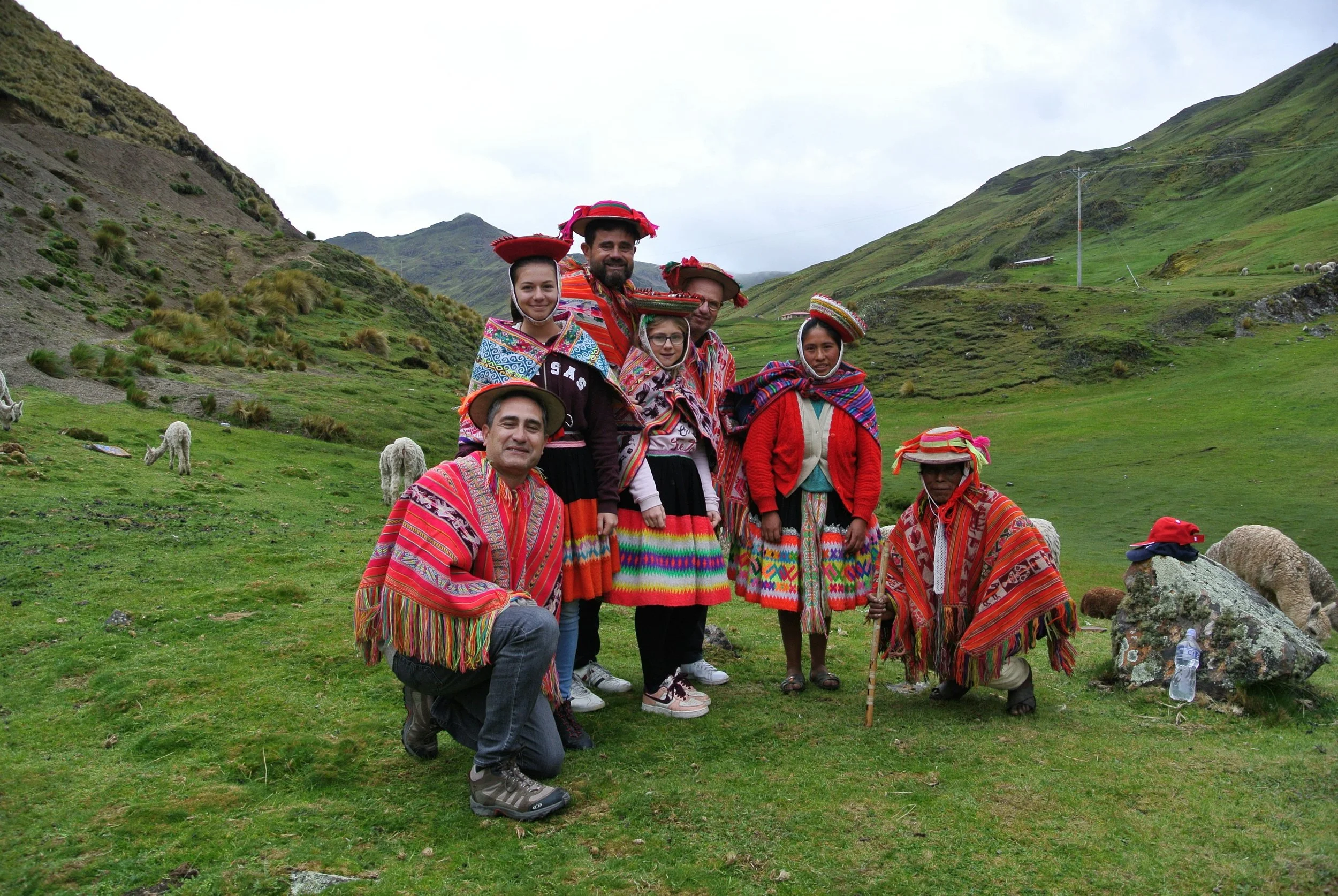 A group of people dressed in colorful traditional clothing and hats, posing outdoors in a lush green mountainous landscape with grazing sheep and llamas.