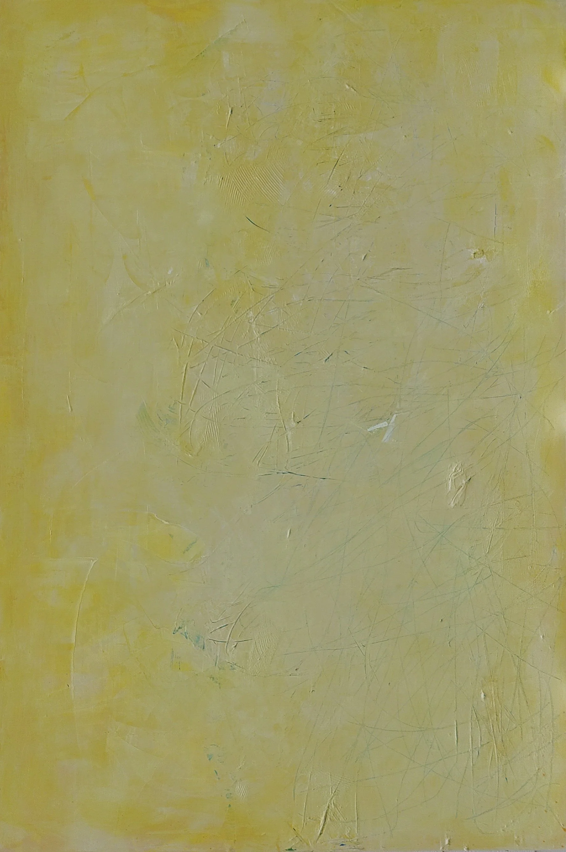 Electric Fence, Paper Fence/
48 x 72