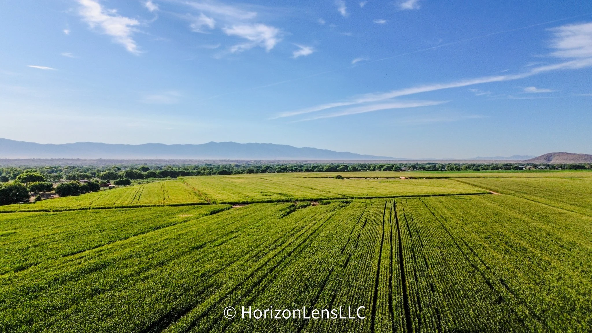 HorizonLensLLC-210.jpg
