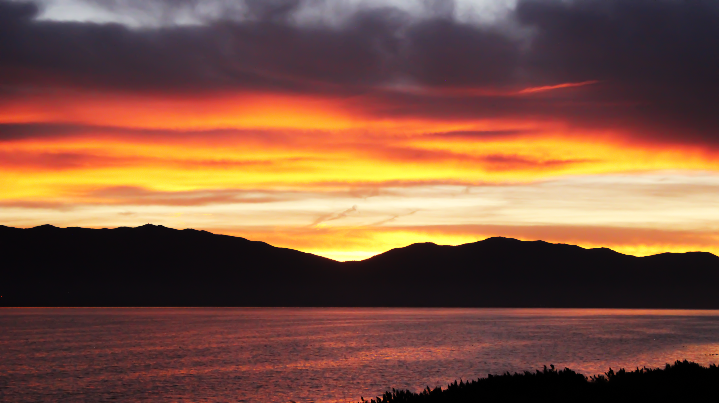 photo_004.png
