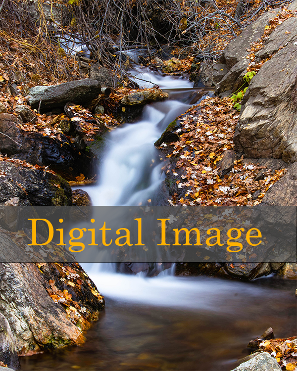 *digital* Autumn Stream