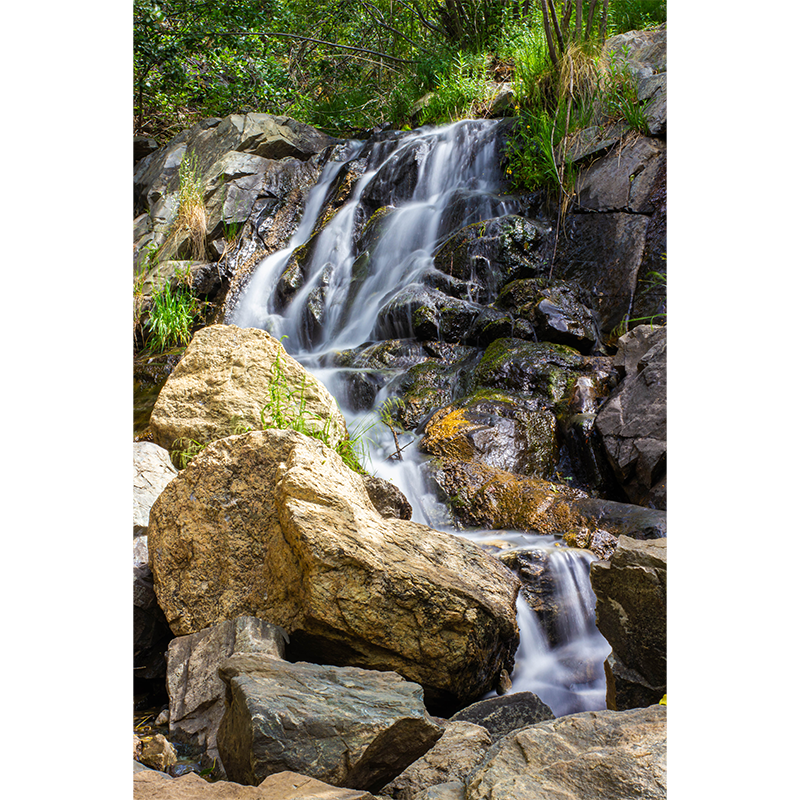 photo_019_disp.png