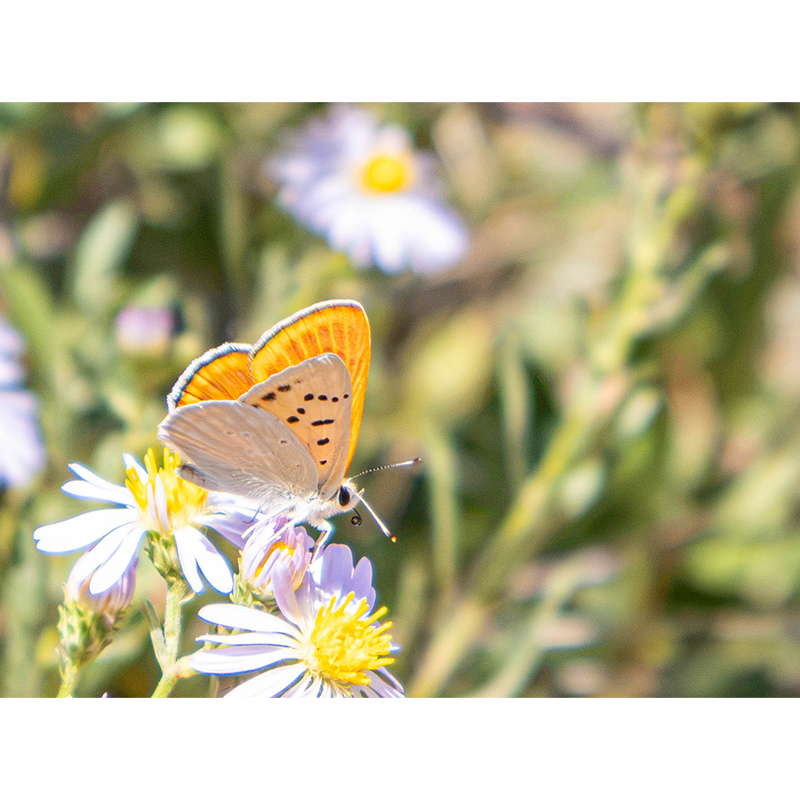 photo_022_disp.png